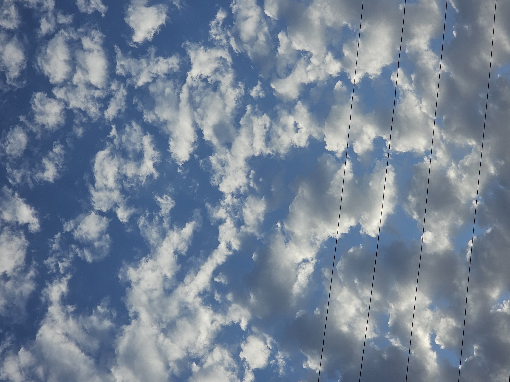 The image captures a sky filled with a mix of white and gray cumulus clouds against a vibrant blue backdrop. Several thin, dark horizontal lines, likely power lines, stretch across the lower half of the frame. The scene appears to be an outdoor shot, possibly from ground level, looking upwards. The location is specified as Özgön, Kyrgyzstan. There are no people or specific actions depicted; the focus is on the natural elements of the sky and the man-made power lines. The lighting suggests it could be daytime, with sunlight illuminating some of the clouds, creating a contrast between bright white and shadowed gray areas.