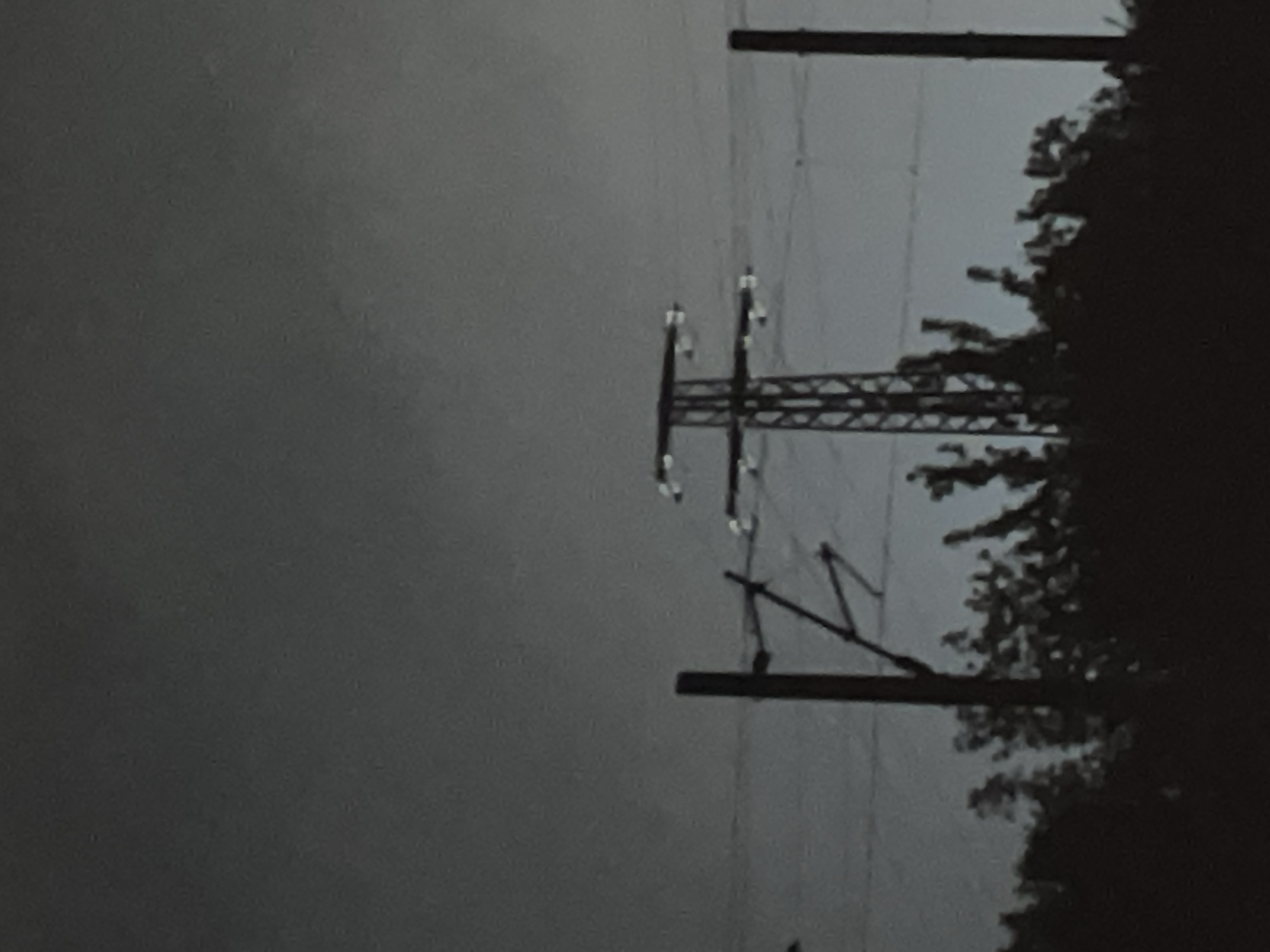 A low-angle, grayscale image depicts an electrical transmission tower and supporting structures against an overcast sky. The tower is the central focus, with its lattice framework and insulators clearly visible. Power lines stretch outwards. To the right of the tower are trees. The photograph may have been taken in Razgrad, Bulgaria.