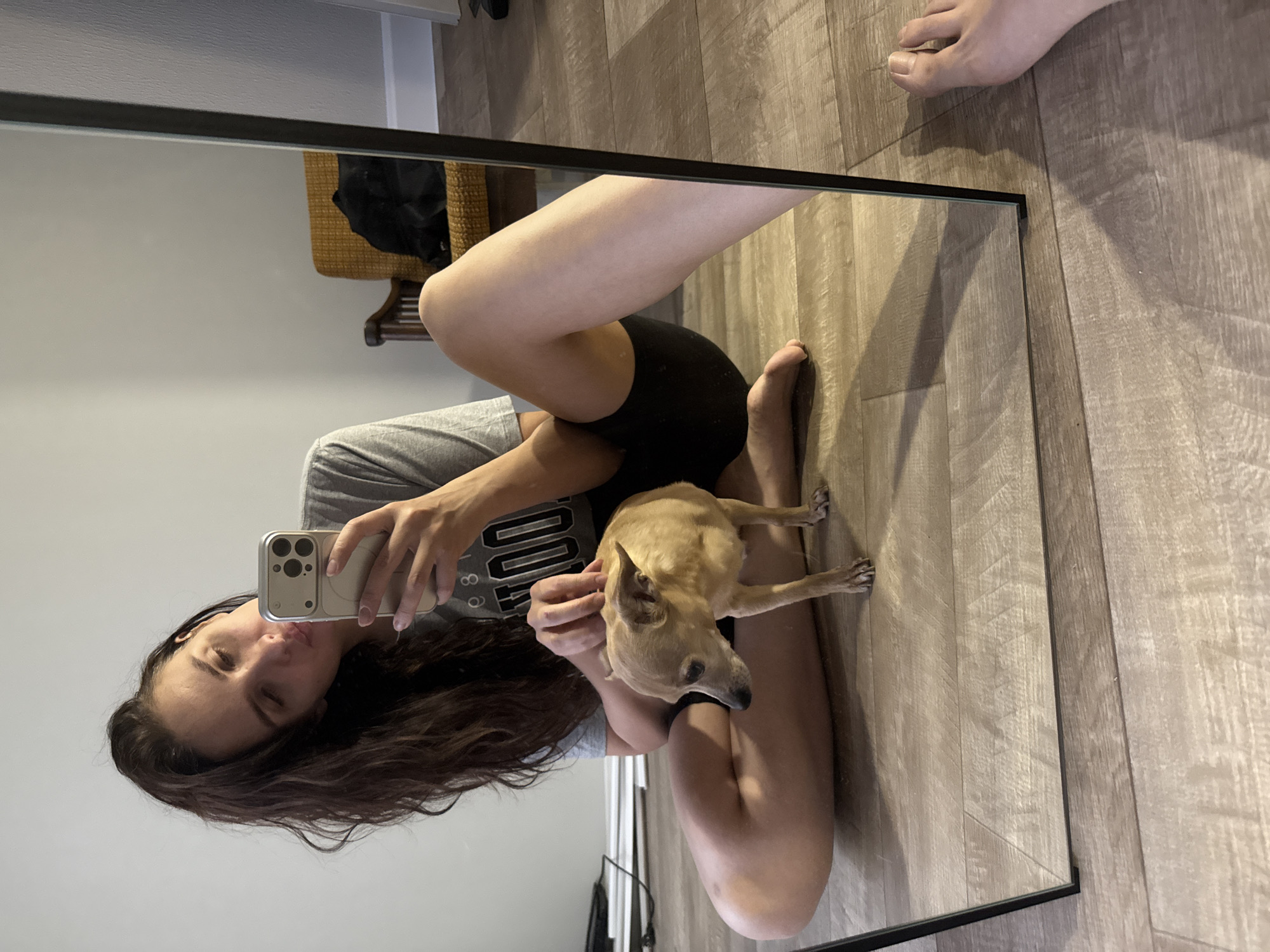 A woman with long brown hair is taking a selfie in a mirror. She is wearing a gray shirt and black shorts and is crouching on a wooden floor. She is holding a tan-colored Chihuahua dog in her lap. The location is unspecified; therefore, I cannot provide the city of Chaikovsky, Russia.