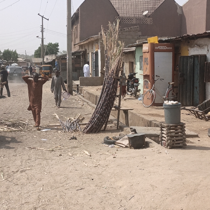 The scene depicts a daytime street view in Kaura Goje, Nigeria, characterized by an unpaved, dusty thoroughfare. In the mid-ground, a large bundle of sugarcane stalks leans against a wooden stand on the right side of the dirt road, with scattered smaller pieces of sugarcane and debris on the ground directly in front. A grey bucket, containing white ovoid objects, rests on a stack of wooden planks on the far right. Adjacent to this, a light-colored bicycle is parked next to an orange-brown "POS" (Point of Sale) kiosk, which stands against a light green building. A dark motorcycle is parked further back on the right.
On the left side of the dirt road, two men are visible. The man in the foreground wears a brown garment and has his hands placed on or near his head while walking towards the viewer. Behind him, another man in a light-colored garment walks away from the viewer, carrying a light-colored bowl in his left hand. In the background on the left, several vehicles, including a dark sedan and a yellow auto-rickshaw, are visible on the street. Utility poles with overhead wires are present on the left side of the road. Buildings with varying architectural styles, including a multi-story brown building with a tiled roof and single-story structures, line both sides of the street. A man in a white garment stands in a doorway of a building on the right side of the mid-ground. The sky is clear and light.