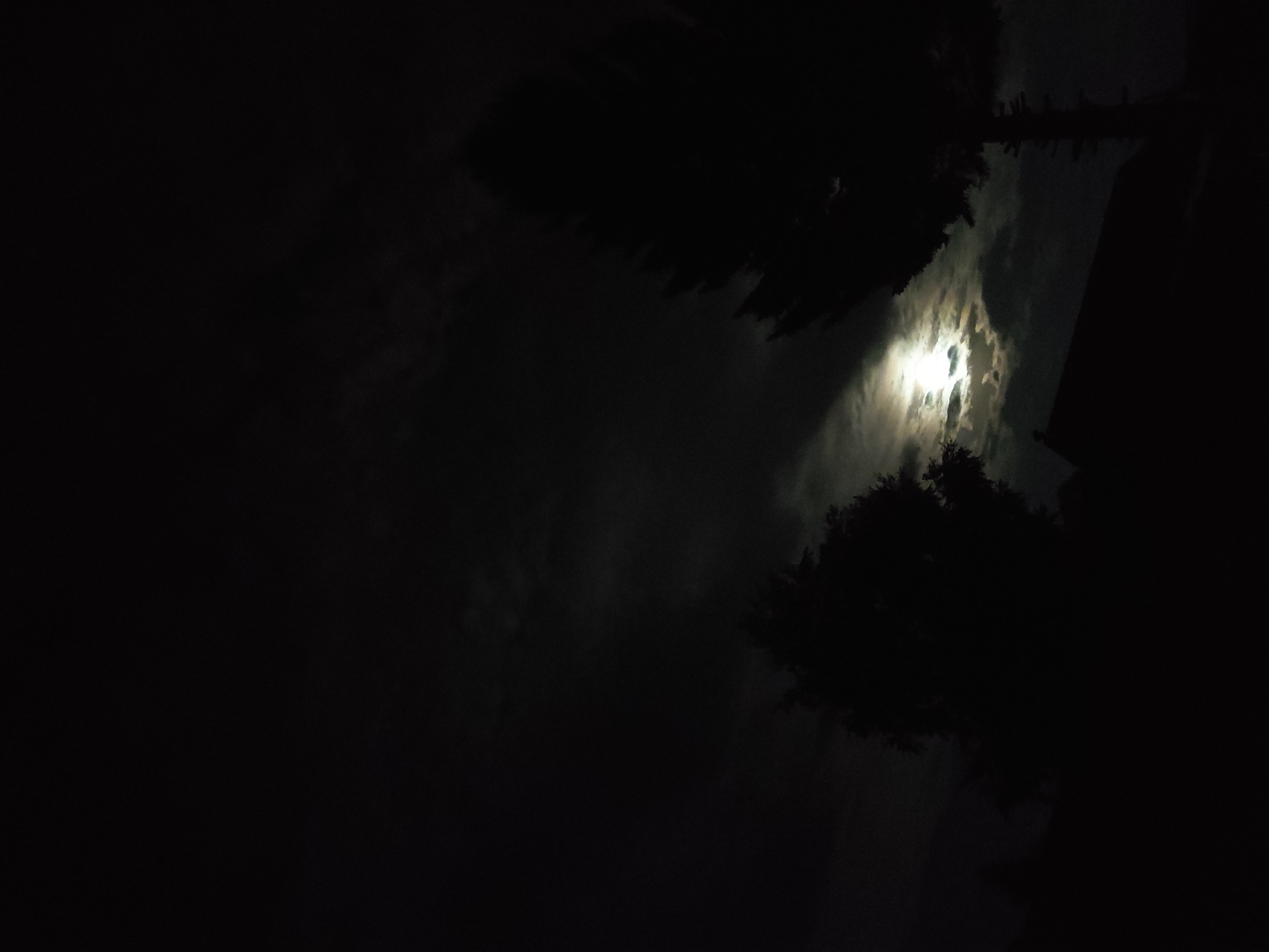The image shows a dark, nighttime scene with a bright moon partially obscured by clouds. In the foreground, the silhouettes of two trees and a building are visible. The moon is the primary light source, casting a soft glow on the clouds and illuminating the scene. The overall atmosphere is serene and somewhat mysterious. The image does not contain any information about the city of Ridder, Kazakhstan.