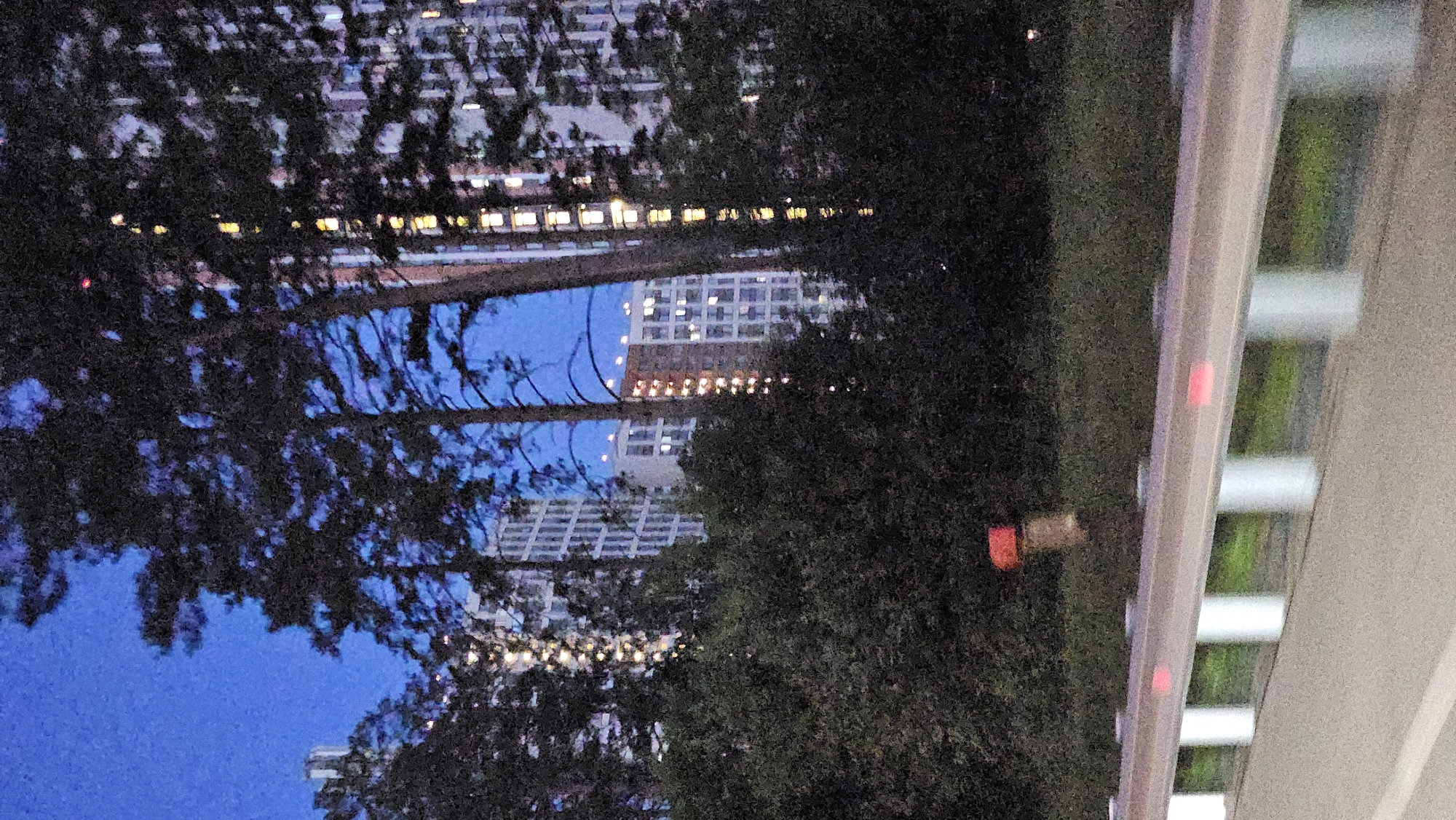 The image captures a view of high-rise apartment buildings in Yekaterinburg, Russia, at dusk. The buildings, illuminated by interior lights, rise behind a dense canopy of dark green trees, likely coniferous. A modern highway guardrail, white with reflective red markers, runs along the foreground, separating the roadway from a grassy embankment. A weathered orange marker, possibly a traffic delineator, is visible on the embankment behind the guardrail. The sky is a deep twilight blue.