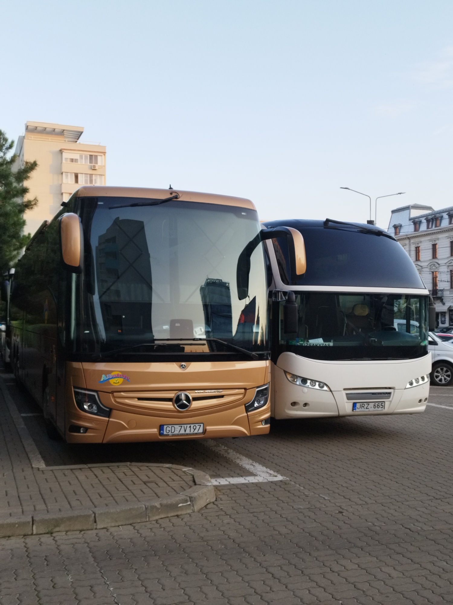 Two tour buses are parked side-by-side on a paved lot in Bucharest, Romania. The bus on the left is gold with a black and gold trim. It has a license plate that reads "GD 7V197". The bus on the right is white with a black roof and trim. It has a license plate that reads "JRZ 665". In the background, there is a multi-story building and some trees. The sky is clear and blue.