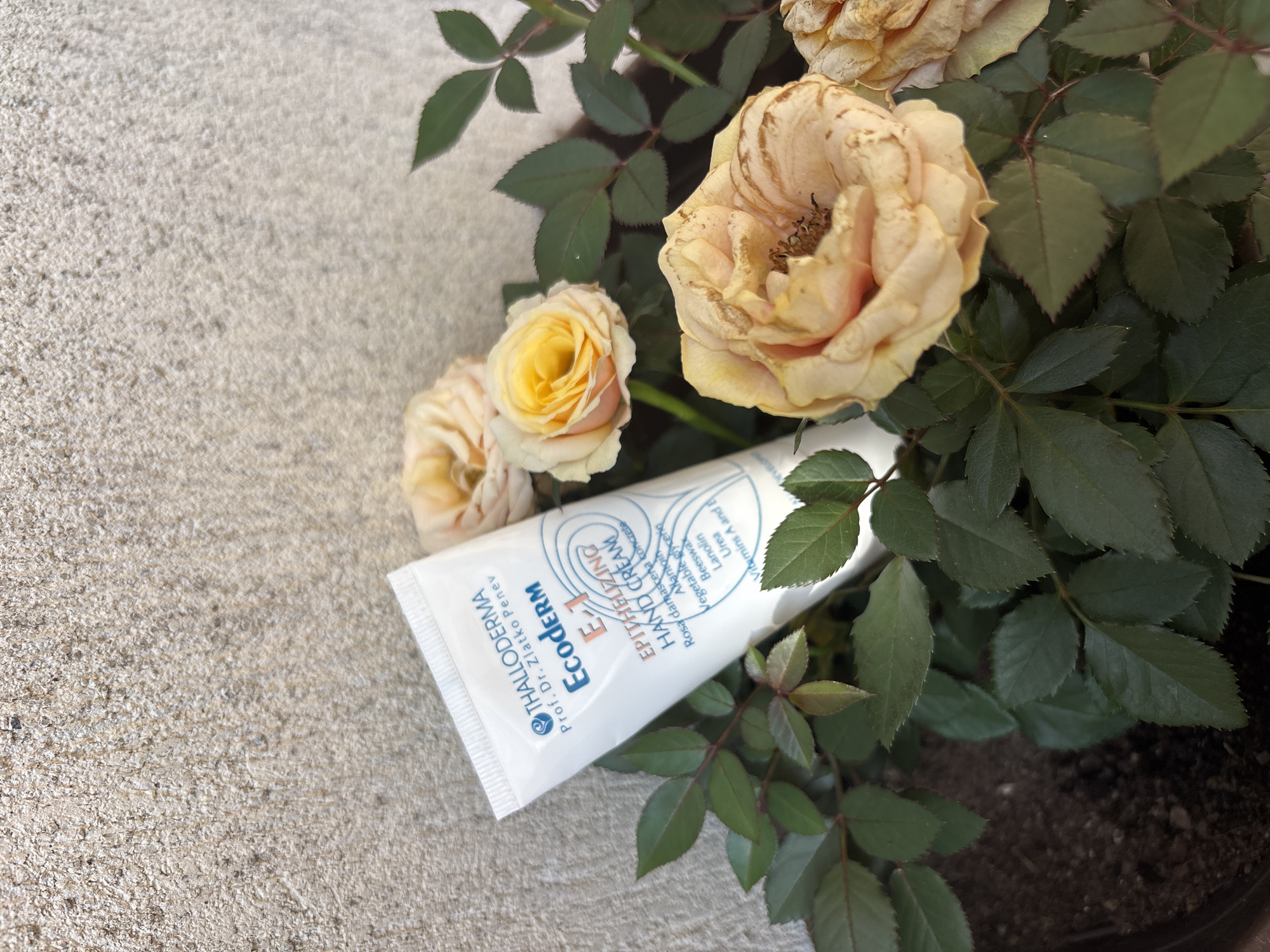 The image shows a tube of "Thalloderma E-1 Ecoderm Epithelizing Hand Cream" nestled among roses and leaves on a textured surface. The tube is white with blue lettering. The roses are a mix of yellow and beige, some appearing partially withered. The leaves are green.
There is no information in the image to suggest it is located in the city of Plovdiv, Bulgaria, or to provide other details.