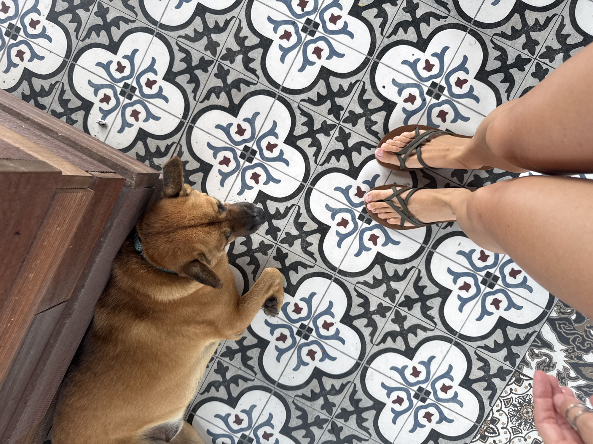 A tan dog lies on patterned floor tiles next to a wooden structure. The dog is positioned on the left side of the image, its body stretched out along the floor. The floor is covered with a decorative tile pattern featuring a white background with black, blue, and red floral motifs. In the lower half of the image, a pair of human legs and feet are visible, wearing dark-colored flip-flops. The person's legs are tanned. The wooden structure appears to be furniture or part of a building's framework. The scene is indoors, likely in a residential or commercial setting in Kuta Selatan, Indonesia, given the distinctive tile work common in the region.
