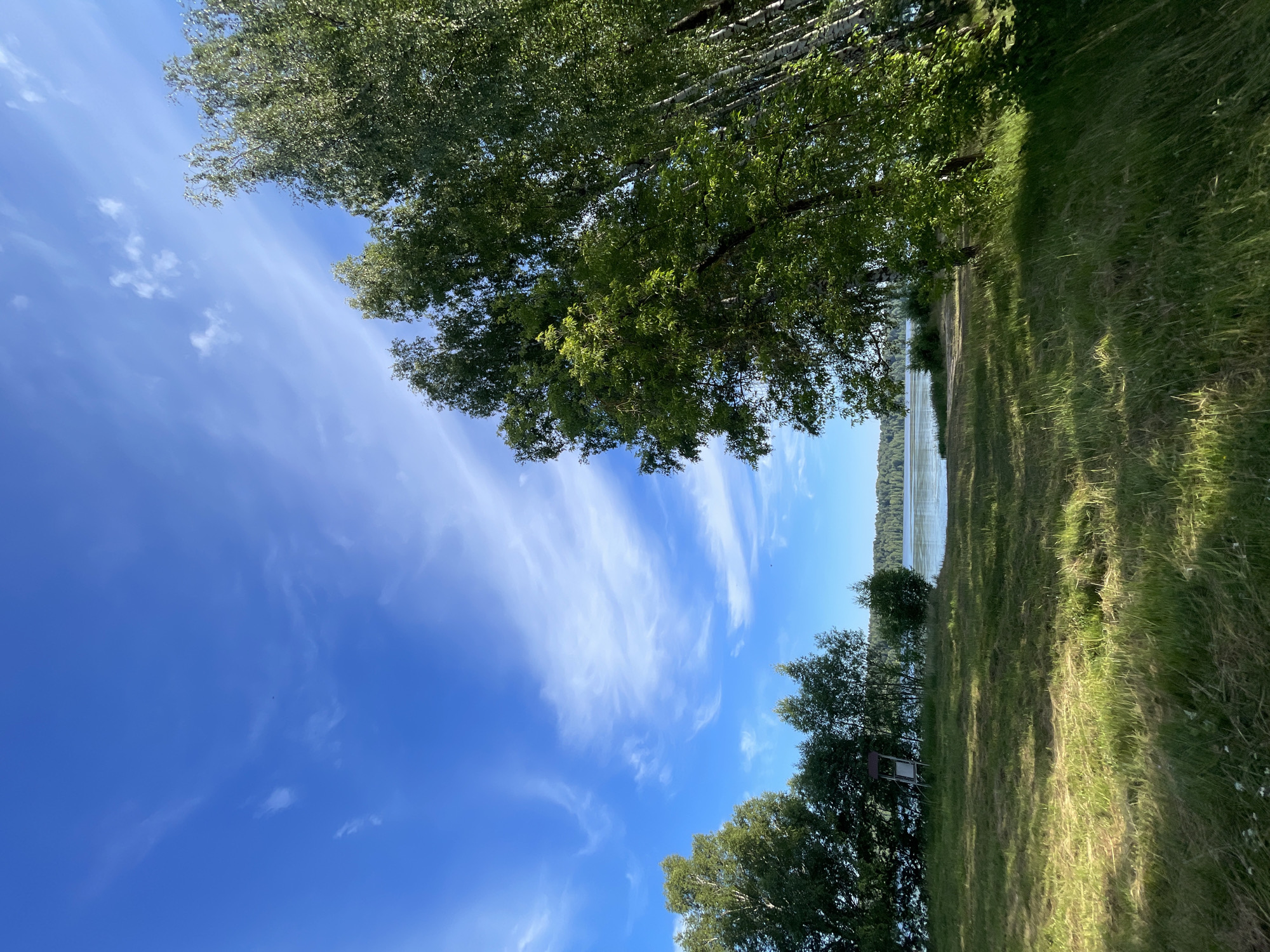 This media file captures a serene waterside landscape under a bright blue sky dotted with wispy white clouds. The scene is dominated by lush green foliage, with the tops of trees framing the upper left portion of the image. In the foreground and extending into the middle ground is a field of tall, sunlit grass, casting long shadows that suggest the sun is at a moderate angle, likely late morning or afternoon.
The middle ground reveals a body of water, possibly a river or lake, reflecting the sky and distant treeline. A narrow strip of sandy or dirt ground separates the grassy field from the water. Several trees grow along the shoreline, with one larger tree in the lower left area. Near this tree, a small, simple structure, perhaps a bench or a small shed, is visible. The distant shoreline is densely wooded with a dark green forest.
The overall mood is peaceful and natural. The clear sky and abundant greenery evoke a sense of calm and tranquility. There are no people visible in the image, and the focus is entirely on the natural environment. The image appears to be taken in a rural or natural setting, consistent with a location like Заречный, Russia, known for its natural beauty. The lighting indicates fair weather. No text is visible in the media file.