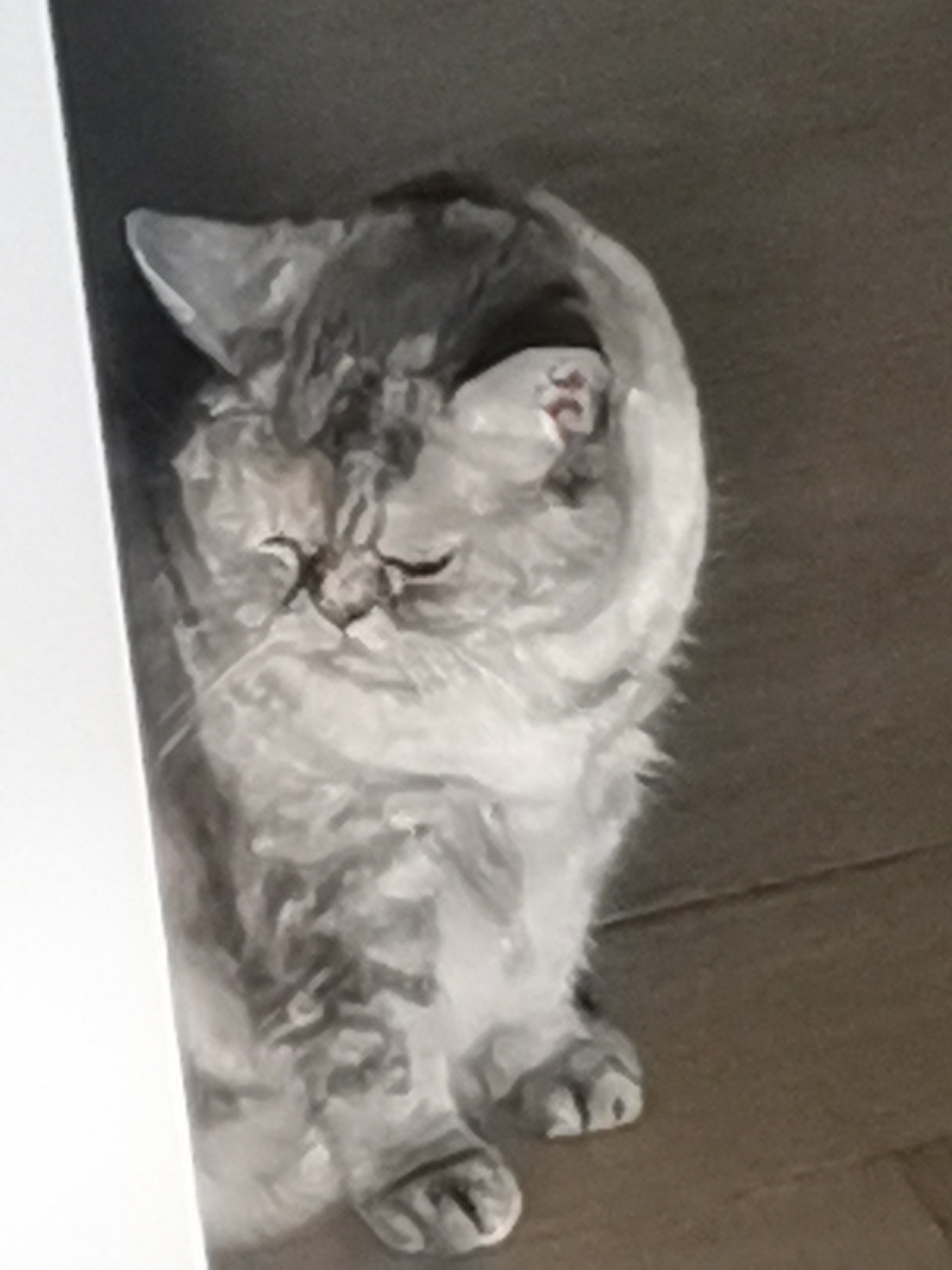 A watercolor painting depicts a fluffy cat with gray and white fur. The cat is curled up, with its head tucked into its body, and its eyes are closed. The cat's fur is rendered in soft, brushy strokes, and the overall effect is one of warmth and comfort. The background is a neutral brown, which helps to highlight the cat's fur. The image is cropped such that the cat's body takes up the majority of the frame. The painting is likely a close-up portrait of a pet. This scene does not provide any information about the location in the city of Chaikovsky, Russia.
