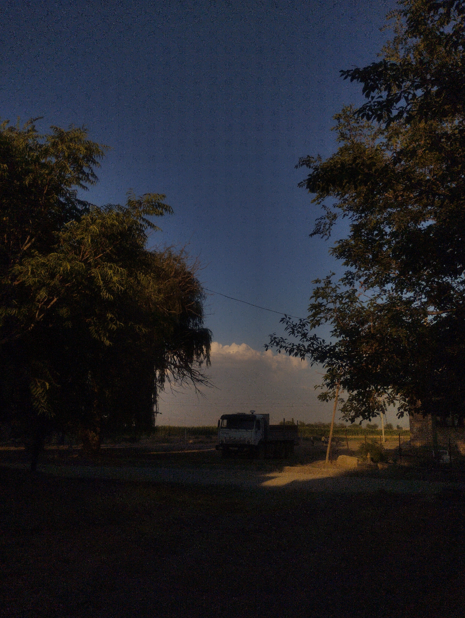 The image depicts an outdoor scene during dusk, with a dark, almost silhouetted foreground. The sky is a deep, clear blue with a faint gradient towards a lighter hue near the horizon. In the middle ground, a white truck with a dark bed is parked on a dirt path. The truck is facing left and appears to be a utility or cargo vehicle.
Framing the scene are two large trees, one on the left and one on the right, with dense foliage that is partially illuminated by the fading sunlight, casting dark shadows across the ground. In the distance, beyond the truck and a line of fencing, is a field of crops, possibly corn, and a few indistinct structures. A single white cloud is visible in the sky to the right of center. The overall impression is one of rural tranquility at the end of the day. The location provided, "Гроздь, Kyrgyzstan," is not a recognized geographical place name, suggesting it may be a personal annotation or a misunderstanding. Assuming it refers to a rural area in Kyrgyzstan, the scene is consistent with such an environment. There are no people or animals visible in the image.