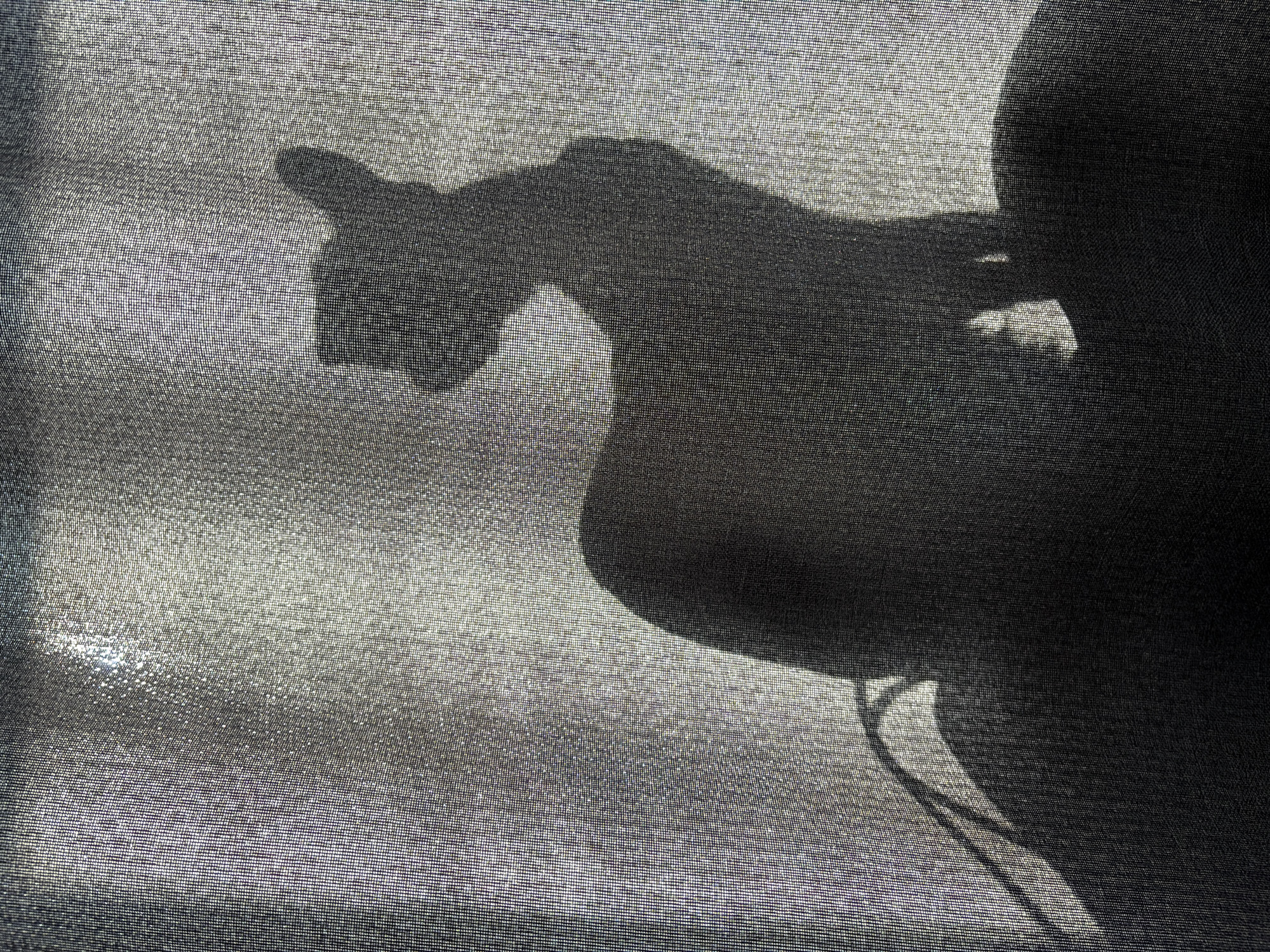 A shadow of a hand making a shadow puppet of a dog is cast on a fine mesh fabric. The precise location in Chaikovsky, Russia, is not discernible from the image.