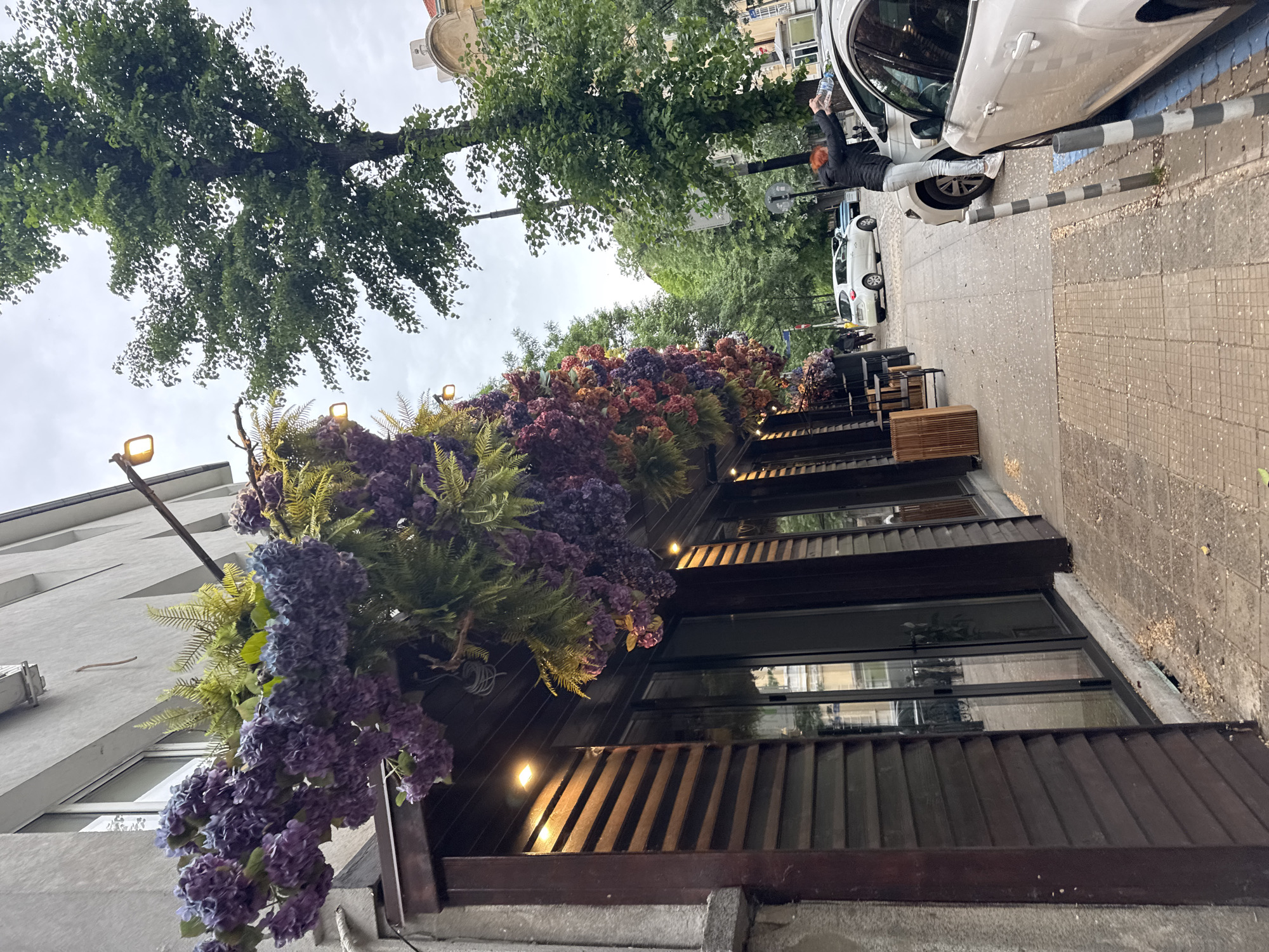 The image captures a street scene in Sofia, Bulgaria. A building adorned with flowers lines the street, its facade featuring large windows and dark wooden accents. Tables and chairs are positioned outside the building, suggesting a cafe or restaurant setting. Trees overhang the street, their foliage providing shade. A white car is parked on the side of the road, and a person with reddish-orange hair wearing a black jacket and white pants is standing on the sidewalk next to the car, holding a clear plastic bottle overhead. The sidewalk is paved, and a striped bollard is visible. The sky is overcast.