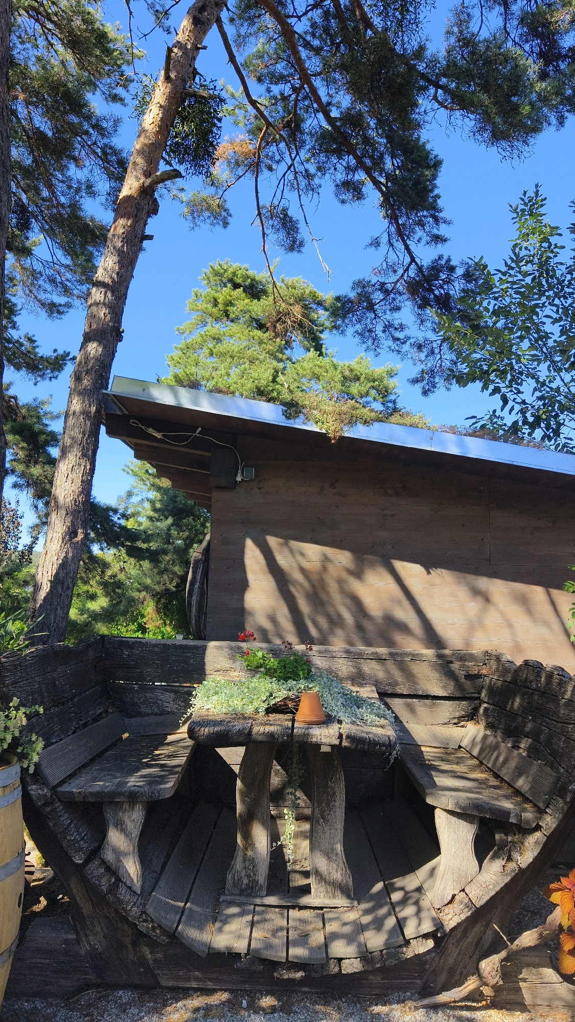 An outdoor seating area is depicted, featuring a rustic wooden table and benches that appear to be constructed from aged, weathered wood, possibly salvaged materials. The furniture is arranged in a semi-circular configuration, with the table in the center and the benches forming the seating area. On the table, there are a few small potted plants and some trailing greenery. The scene is set against a backdrop of lush green trees and a clear blue sky. A wooden building with a metal roof is visible behind the seating area, casting shadows onto the wooden structure. The overall impression is one of a tranquil, natural setting, likely in a garden or park environment. This location is identified as being in Langenlois, Austria.