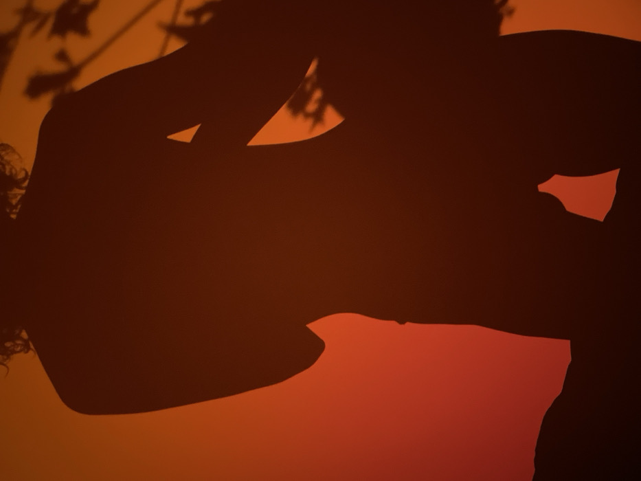 The scene depicts a dark silhouette of a human figure against a warm, gradient background of orange and red hues, located in Boreti, Montenegro. The figure is observed from a slightly rear-angled perspective, showcasing the contours of the back, waist, hips, and upper thighs. Curly hair is visible at the top of the silhouette. The right arm is bent and held slightly outwards, while the left arm appears bent and positioned towards the front. The figure stands with legs slightly apart. To the right of the figure, and partially overlapping, are distinct shadows of foliage, indicating branches and leaves cast by the same light source creating the main silhouette. The strong backlighting defines the subjects as dark forms against the brightly illuminated, uniformly colored surface of the background. There are no visible interactions or distinct actions beyond the pose of the standing figure. The environment appears to be an indoor setting with artificial light or an outdoor setting at sunrise/sunset against a wall.