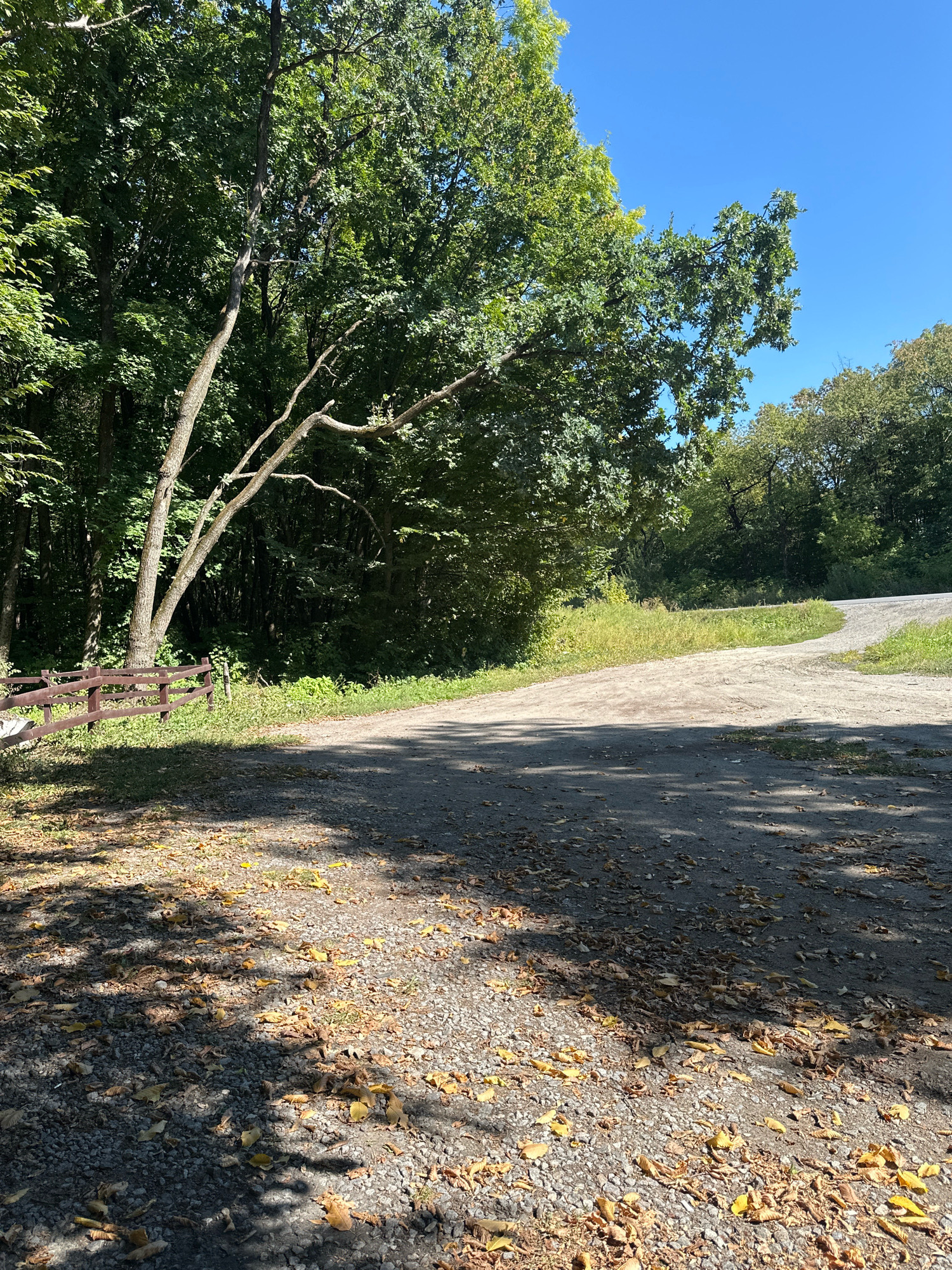 The image depicts a gravel road branching into two paths in a wooded area. A low wooden fence runs along the left side of the road, bordering a dense forest with tall green trees. Sunlight filters through the leaves, casting dappled shadows on the road surface, which is also scattered with fallen leaves. The sky is clear and blue. The scene is located on the outskirts of Shatava, Ukraine, characterized by a natural, undeveloped landscape. There are no people or animals visible in the image, and no actions or interactions are taking place.