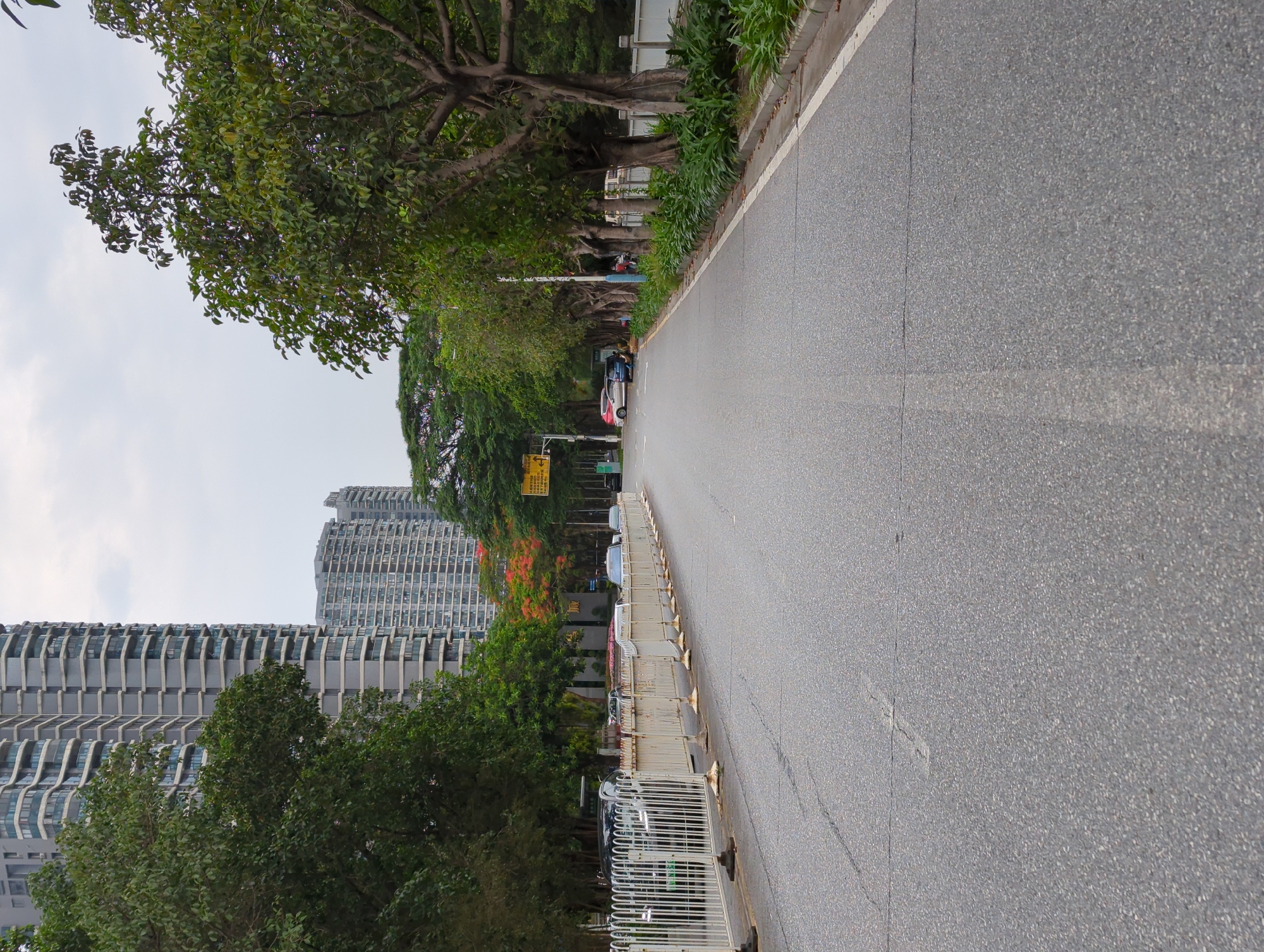 The image shows a street in Shunde District, China. The street is asphalt, and there are trees lining the side of the road. On the left side of the road, there are tall buildings. There are a few cars parked on the side of the road in the distance. The sky is overcast.