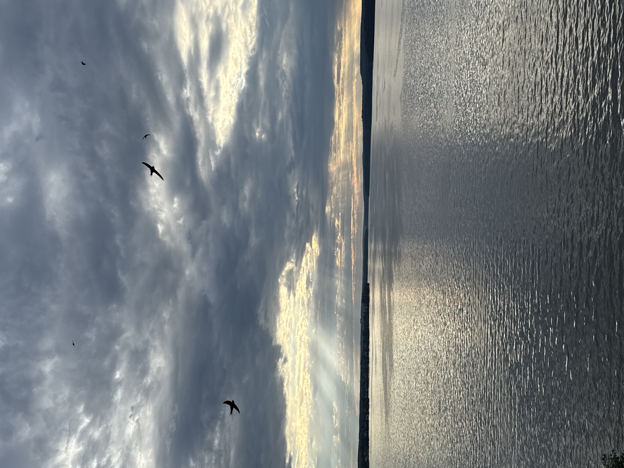 This media file depicts a scenic view of a body of water with a dramatic sky. The primary subjects are the water and the sky, with several birds in flight. The scene is set outdoors, likely near a large lake or river, given the expansive water surface.
The activity taking place is the flight of birds against a backdrop of clouds and sunlight. The time of day appears to be late afternoon or early evening, with the sun casting rays through the clouds, creating a luminous effect. The weather seems to be partly cloudy, with a mix of dark and bright clouds. The water is rippled, reflecting the light and sky, suggesting a gentle breeze. The distant shoreline is visible as a dark silhouette against the sky.
Notable details include the silhouette of the birds, which appear to be swallows or swifts, actively maneuvering in the air. The light filtering through the clouds is a prominent feature, creating a sense of depth and drama. The overall mood conveyed is one of natural beauty and serenity, with a touch of wildness due to the presence of the birds. There is no visible text in the media file. The location context of Votkinsk, Russia, suggests this might be a view of the Kama River or a reservoir near the city.
