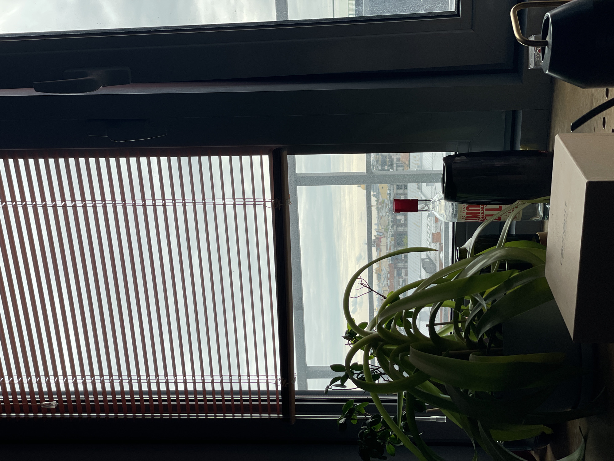 A medium shot captures a dimly lit interior scene adjacent to a window. The window, divided into two panes, is partially covered by wooden blinds on the left pane, while the right pane reveals a cityscape veiled under a gray, overcast sky. The buildings in the distance appear densely packed, hinting at an urban environment.
Positioned near the right pane of the window is a potted plant with long, curling green leaves, obscuring part of the view. Adjacent to the plant, a clear glass bottle with a red cap is visible, along with a black cylinder and a light-colored rectangular box. The image suggests a scene indoors, with a focus on the interplay between natural light, interior objects, and the cityscape beyond.
