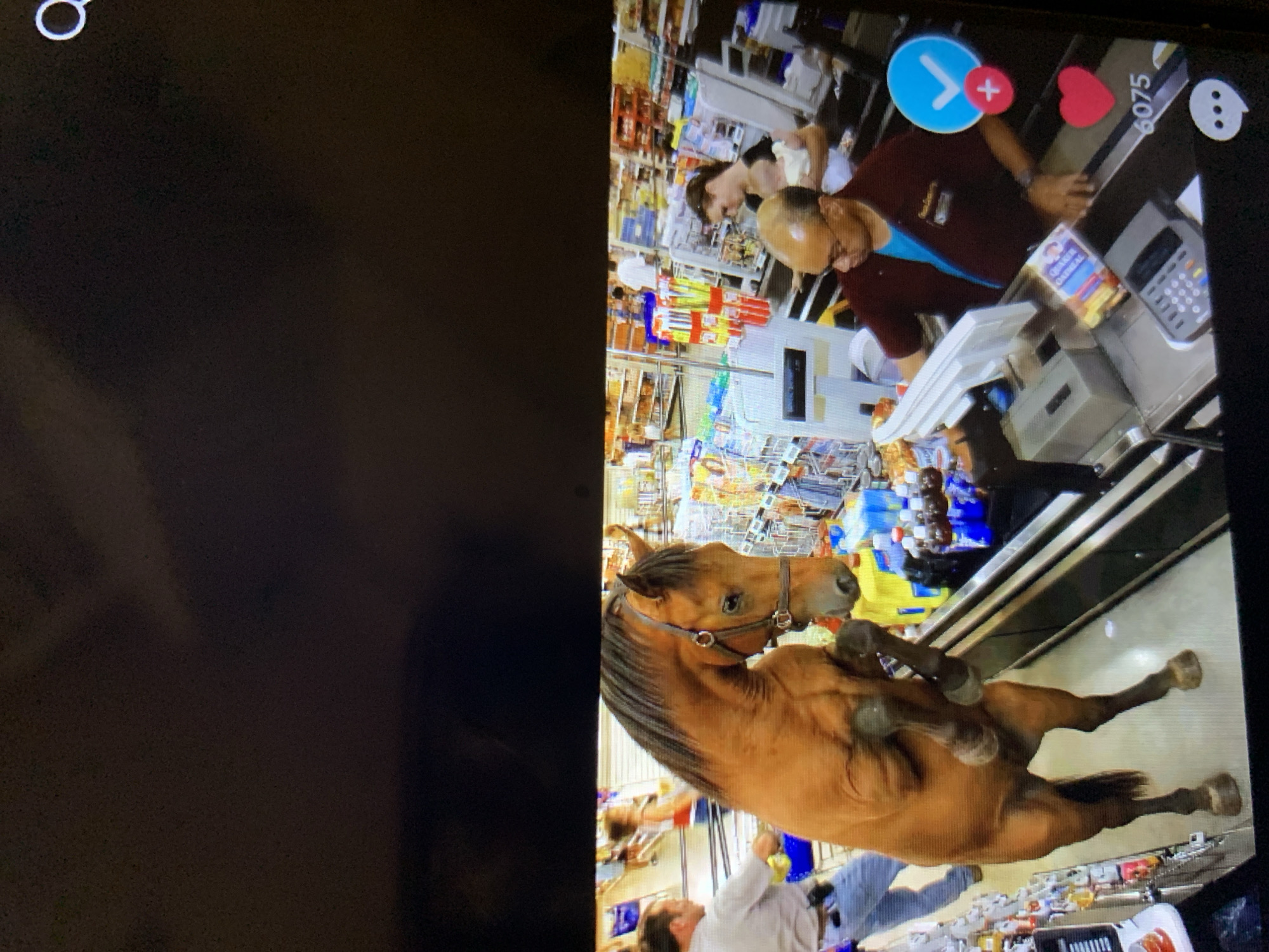 The image depicts a surreal scene within what appears to be a supermarket aisle, possibly in Lymanka, Ukraine. A large, brown horse is standing on its hind legs, its front hooves raised, as if attempting to reach something on a higher shelf or interacting with a cashier. The horse is wearing a bridle and appears to be the central focus of the image.
Behind the horse, several people are visible, seemingly going about their shopping. One person, dressed in a light-colored shirt and blue jeans, is pushing a shopping cart in the background, appearing startled or surprised by the horse's presence. To the right of the horse, a cashier, a bald man wearing glasses and a burgundy shirt over a blue t-shirt, is seen working at a checkout counter. He appears unfazed by the unusual customer. A woman holding a baby is also present near the checkout.
The environment is consistent with a retail store, with shelves stocked with various products, including bottles and packaged goods, visible in the background. The lighting suggests an indoor setting. The overall impression is one of an unexpected and humorous disruption of a mundane shopping experience. Overlay icons, including a checkmark, a plus sign, a heart, and a speech bubble with a count of "6075", indicate that this image is likely from a social media platform.