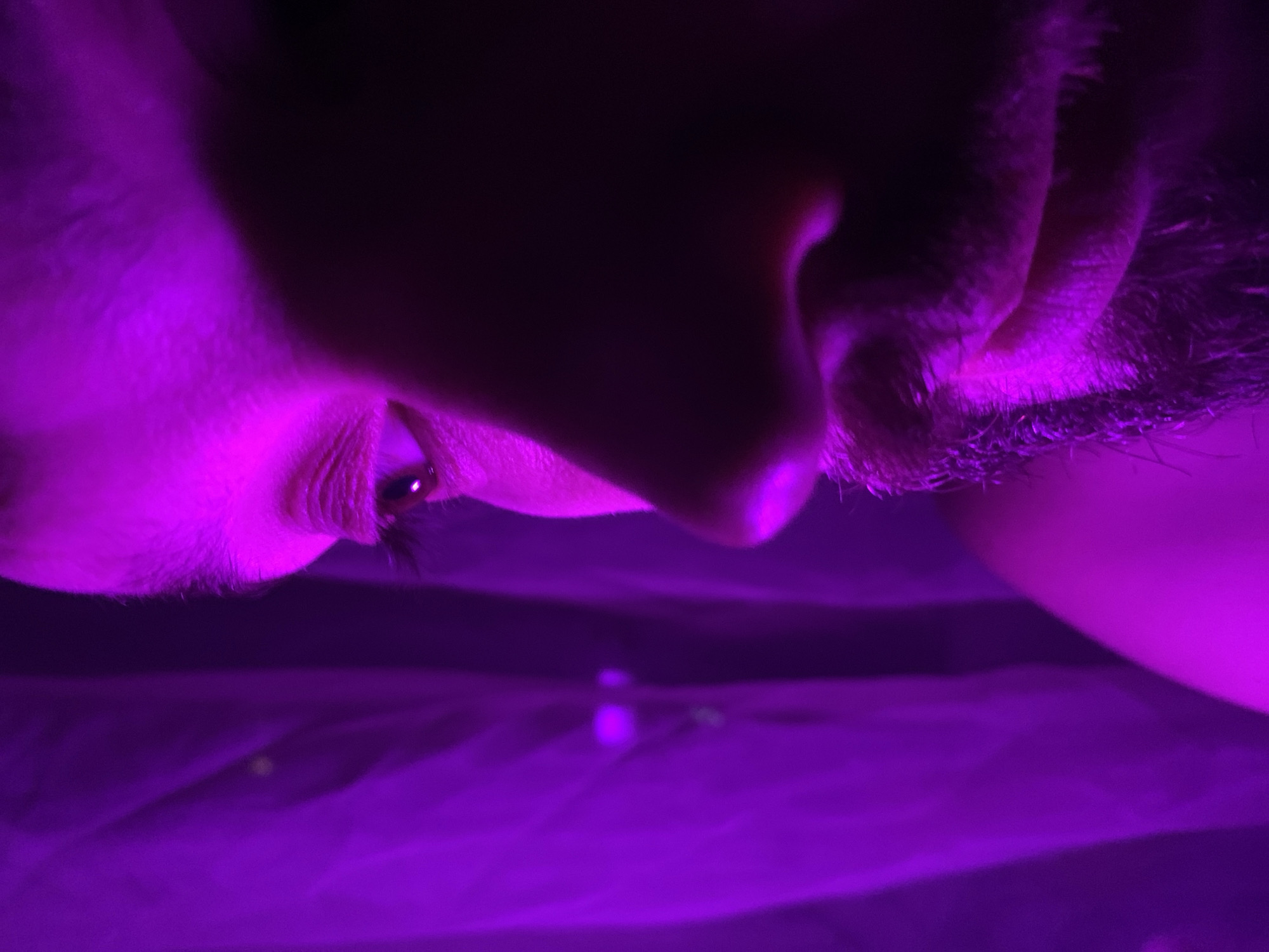 The image is a close-up, low-angle shot of a person's face, illuminated by a vibrant purple light. The lighting creates strong shadows and highlights, obscuring some details. The visible features include an eye, the bridge of a nose, and a mouth with stubble. The background is out of focus and appears to be a textured surface, possibly fabric, also lit with purple light. The image does not provide any information about the location in Chaikovsky, Russia.