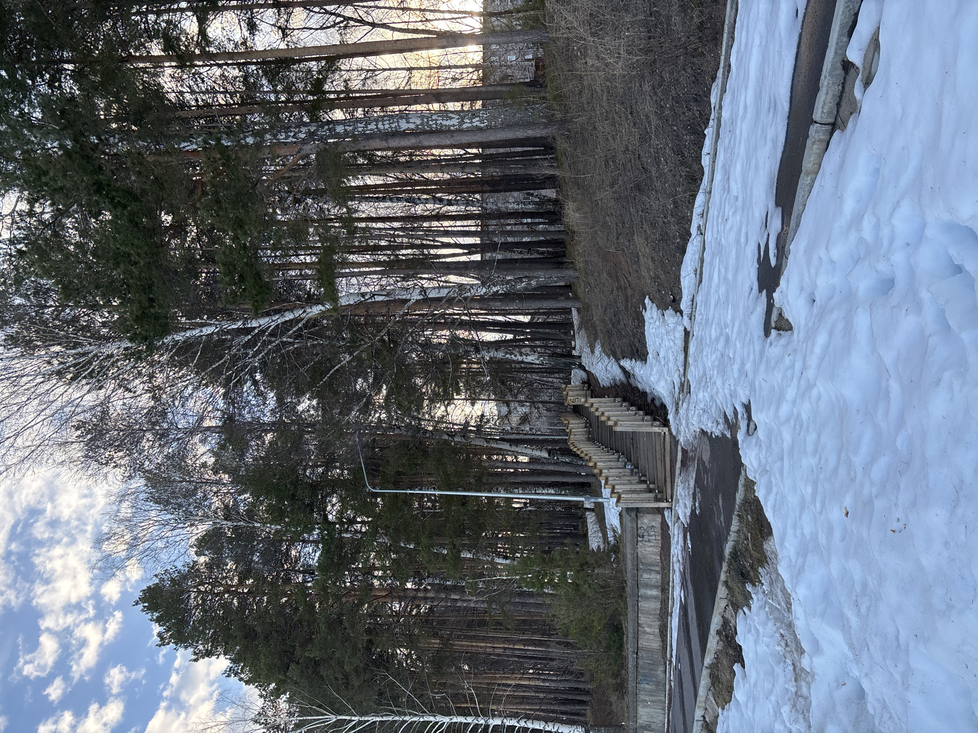 The image shows a partially snow-covered area adjacent to a forest, likely within the city of Chaikovsky, Russia. There is a path with steps leading upwards alongside a concrete structure. The forest consists of tall, thin trees, including birch trees recognizable by their white bark. Snow is visible on the ground and along the edges of the path. The sky is visible through the trees, appearing partly cloudy.