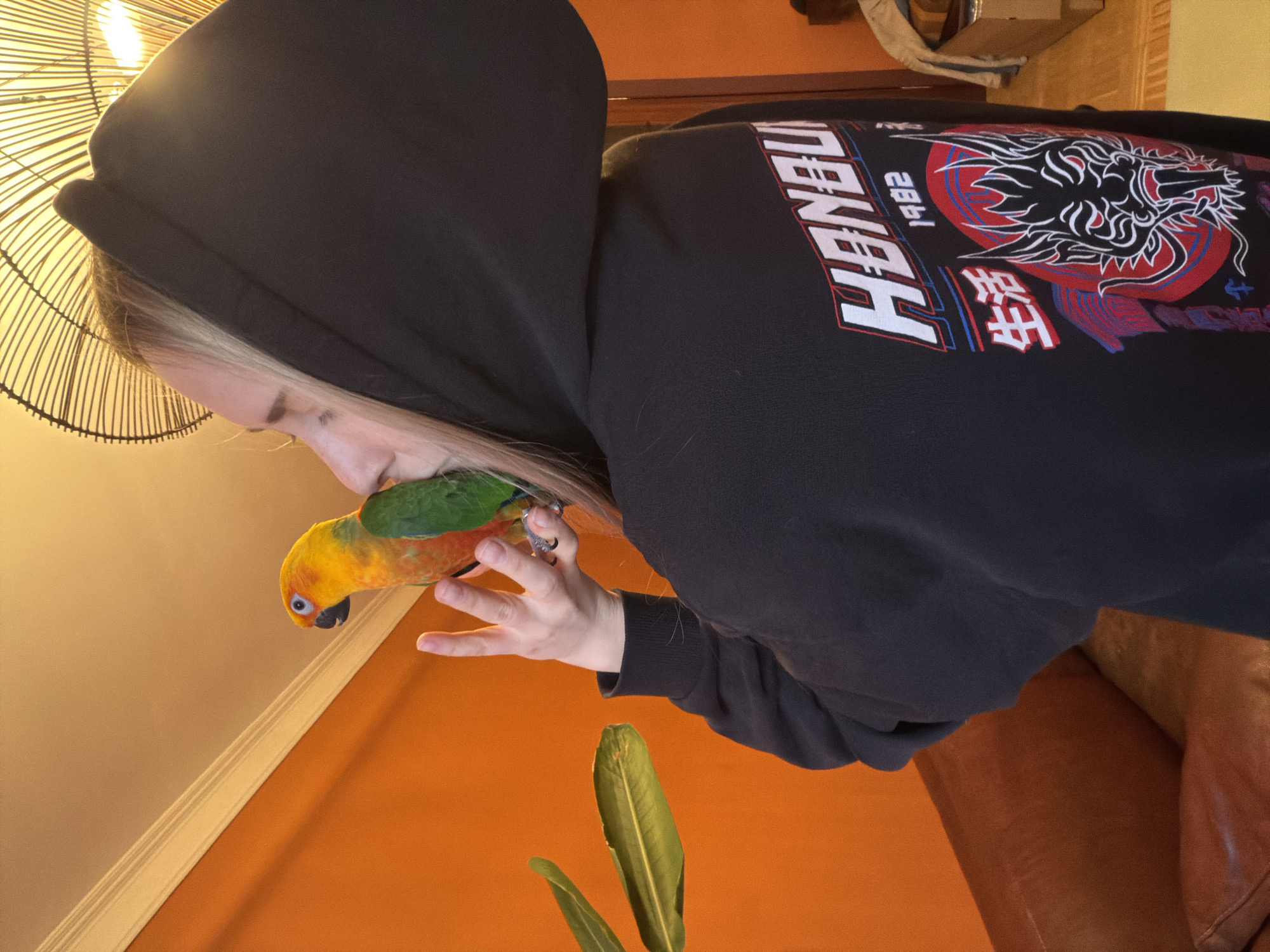 A person wearing a black hooded sweatshirt is holding a colorful parrot, possibly a Sun Conure, in their hand. The sweatshirt has a design with the word "HANBU" and an image of a dragon, along with the number "1982". The background shows an orange wall, part of a wicker light fixture, a potted plant with green leaves, and a leather sofa. The image location cannot be identified as the city of Khimki, Russia, from the visual information provided.