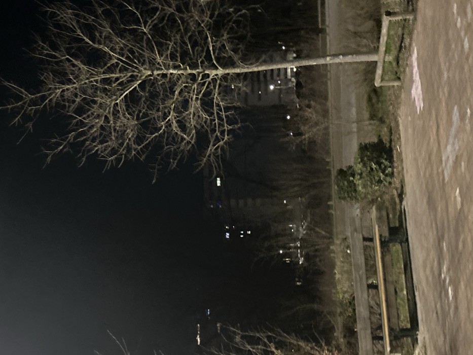 The image depicts a static nighttime scene in Ostwald, France. In the foreground, a paved surface displays irregular light-colored markings. To the left, an empty wooden park bench with a dark metal frame rests on this surface. To the right, a low, bare wooden barrier or log is partially embedded in the ground adjacent to the paving. Beyond the paved area, a strip of sparse vegetation, including small shrubs and bare trees, borders a dark, empty road. A prominent deciduous tree, devoid of leaves and illuminated by an unseen light source, stands in the mid-ground, slightly right of center. In the background, multiple multi-story buildings are discernible, with illuminated windows displaying white, yellow, and faint blue lights, silhouetted against a uniformly dark night sky. No individuals, vehicles, or active elements are present in the scene.