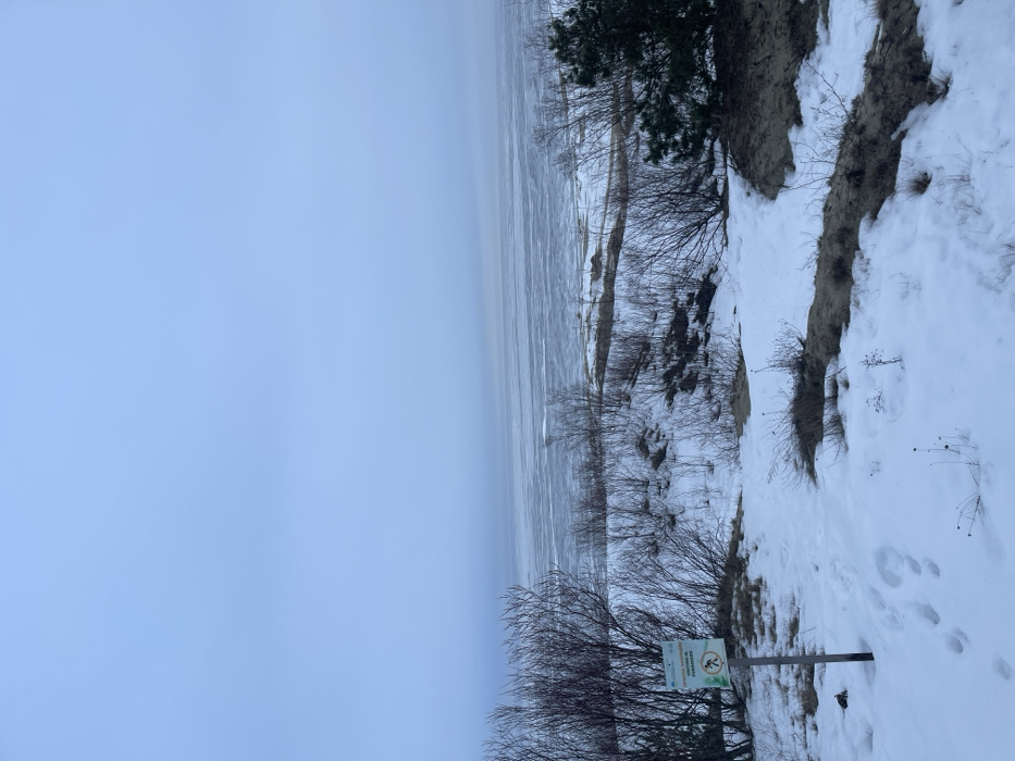 This image captures a winter landscape in Morskoye, Russia, overlooking a vast, partially frozen body of water. The upper two-thirds of the frame are dominated by a pale, overcast, blue-gray sky that merges with a distant horizon. The water below the horizon is covered with extensive, fragmented ice floes.
The foreground and midground feature snow-covered ground interspersed with patches of exposed sandy soil and dormant vegetation. Numerous bare deciduous shrubs and small trees with dark, slender branches are scattered across gentle slopes and dunes. A darker green coniferous tree is visible on the right side of the midground.
In the lower-left foreground, a light green and white warning sign is affixed to a wooden post. The sign displays Russian text, "ВХОД НА ЗАПРЕЩЁН" (Entrance Forbidden), above a circular symbol depicting a black silhouette of a person stumbling or falling, overlaid with a red diagonal line. Footprints are visible in the snow around the sign, leading toward the water. No individuals are present in the scene. The overall environment is desolate and suggests cold temperatures.