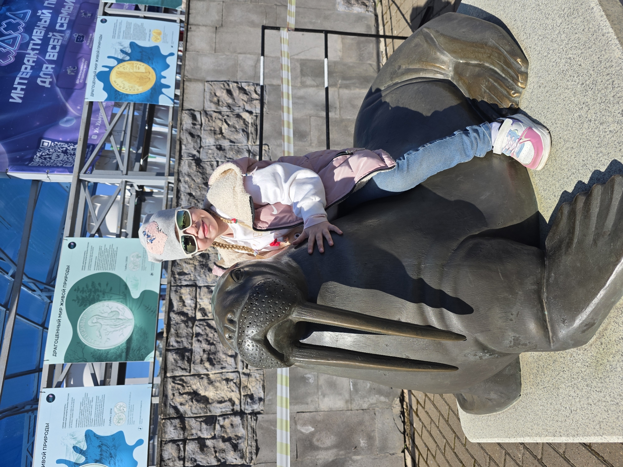A girl sits atop a bronze walrus statue in Izhevsk, Russia, on a sunny day. The girl wears jeans, a pink and white coat, a white sweater, and pink and white sneakers. She also wears sunglasses and a gray hat. The statue is made of dark bronze and is mounted on a light-colored stone base. Information signs are posted nearby, and a low gray brick wall runs behind the walrus. The ground is paved with brick.
