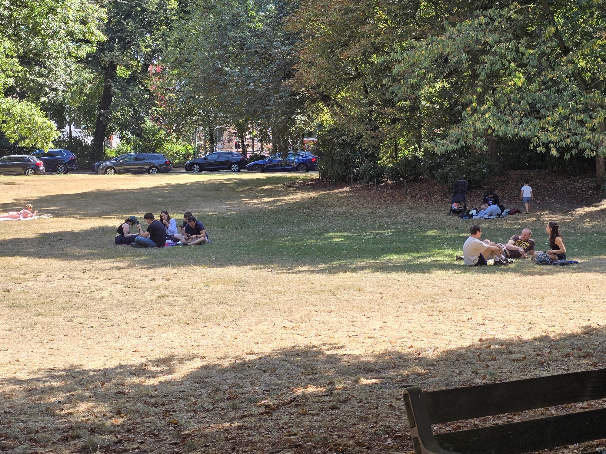 In the city of Antwerp, Belgium, a public park scene unfolds under a canopy of mature trees. The foreground features a worn wooden park bench. The middle ground shows a grassy lawn, transitioning from verdant to sun-baked brown in patches, littered with fallen leaves. Several groups of people are picnicking and relaxing on blankets. One group of three individuals, two men and a woman, are seated on the grass. Further to the right, a group of four individuals, two men and two women, are similarly engaged. In the background, several cars are parked along a tree-lined street bordering the park. The overall atmosphere is one of casual outdoor recreation on a sunny day.