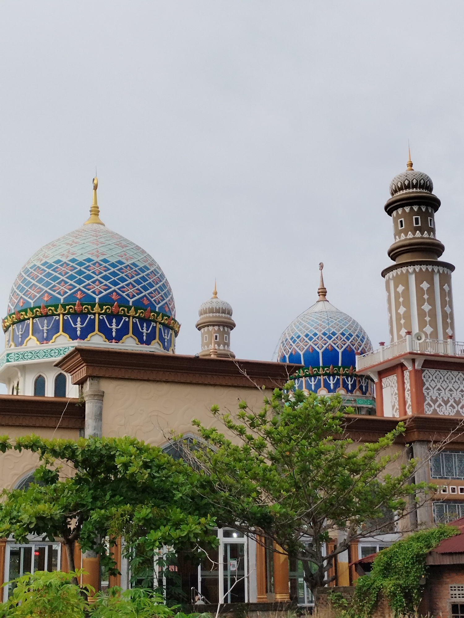 This vertical shot captures a majestic mosque under an overcast sky, with lush green foliage partially obscuring its lower facade.
The central subject is a grand mosque, featuring multiple ornate domes and a tall minaret. The largest dome, positioned prominently on the left, is adorned with vibrant blue at its base, topped by intricate patterns of light blue, white, and orange diamond shapes. Gold and blue decorative bands, featuring stylized motifs, encircle its lower portion. A golden finial, shaped like a crescent moon, crowns this dome. Behind it, a smaller dome with similar patterns is partially visible. To the right, a distinctive minaret rises, characterized by its dark brown color and white geometric patterns, punctuated by small, rectangular openings. Another smaller, dark-patterned dome sits closer to the minaret. The mosque's main building structure is a light beige with subtle textured patterns, complemented by brown eaves and decorative elements. Arched windows are visible on the lower section of the building.
In the foreground, a large, vibrant green tree dominates the lower left-center, its dense foliage creating a natural frame and partially concealing the mosque's entrance areas. Other scattered green plants and vines further populate the immediate foreground.
The sky is a uniform, bright greyish-white, indicating an overcast daytime setting without direct sunlight. No human activity is visible, and no legible text can be discerned on the buildings or signs. The architecture and tropical vegetation strongly suggest a location in a country like Indonesia, where this style of mosque is common.