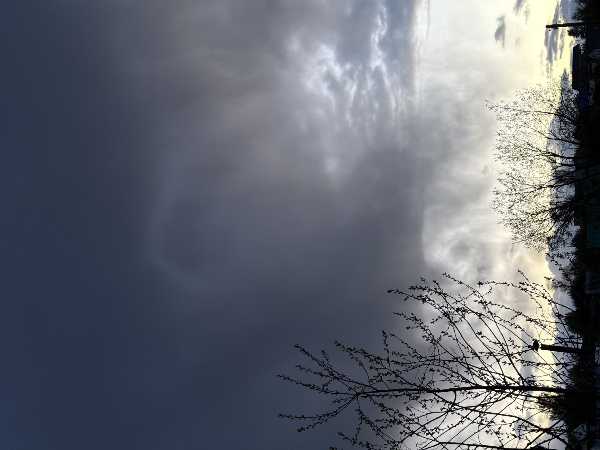 The image shows a sky dominated by dark, ominous clouds covering most of the frame. A brighter section is visible on the right side, suggesting the sun is setting or rising. Silhouetted trees with bare branches are visible against the lighter sky, revealing a residential area in the background with houses and a utility pole. The location is possibly near the city of Фоки, Russia. There are no people visible in the image.