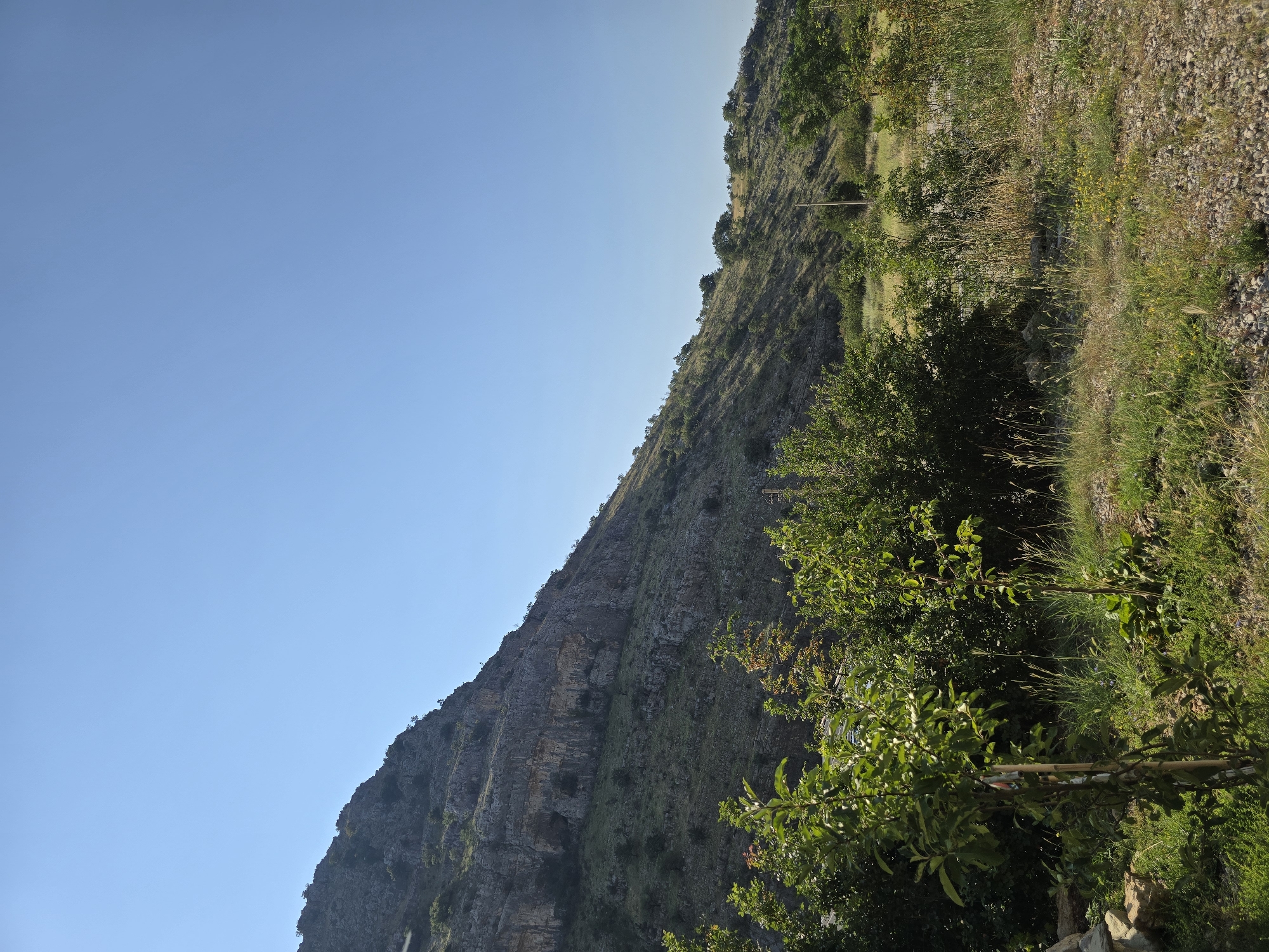 The image shows a rocky, barren mountain slope under a clear blue sky. The lower part of the image features green vegetation, including bushes and small trees, with dry grass and gravel on the ground. A utility pole is visible on the right side of the frame. The scene is likely a rural or natural area on the outskirts of Podgorica, Montenegro, given the topography. There are no people or animals visible in the image.