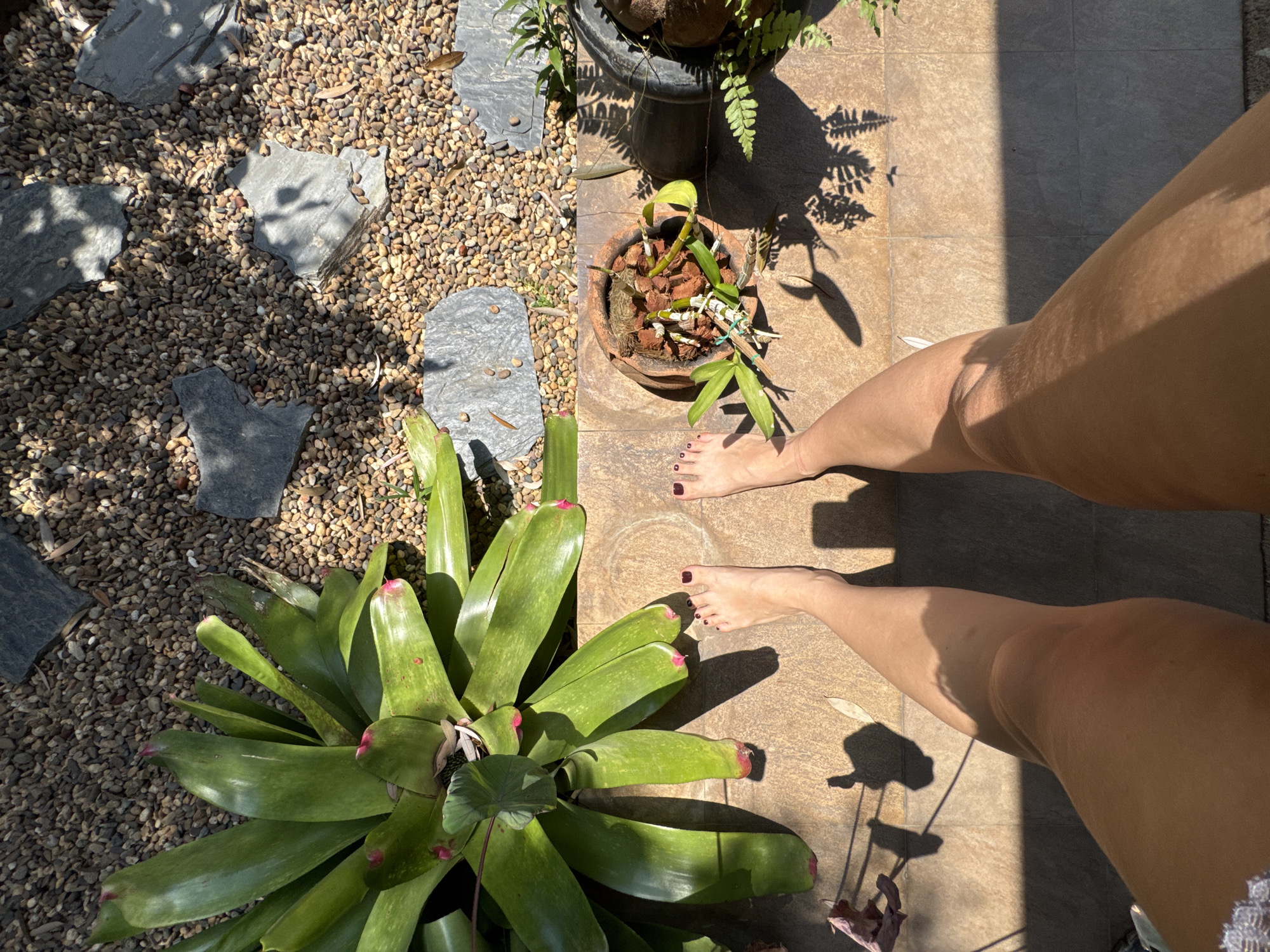 The image shows a person's lower legs and feet standing on a tiled patio in a garden setting. The person's toenails are painted a dark color. Around the person, there are several potted plants, including ferns and a bromeliad. The patio is adjacent to an area covered in gravel and flat stones. The scene is well-lit with sunlight. Based on information provided, the location is in บ้านกาญจน์กนก 23, Thailand.