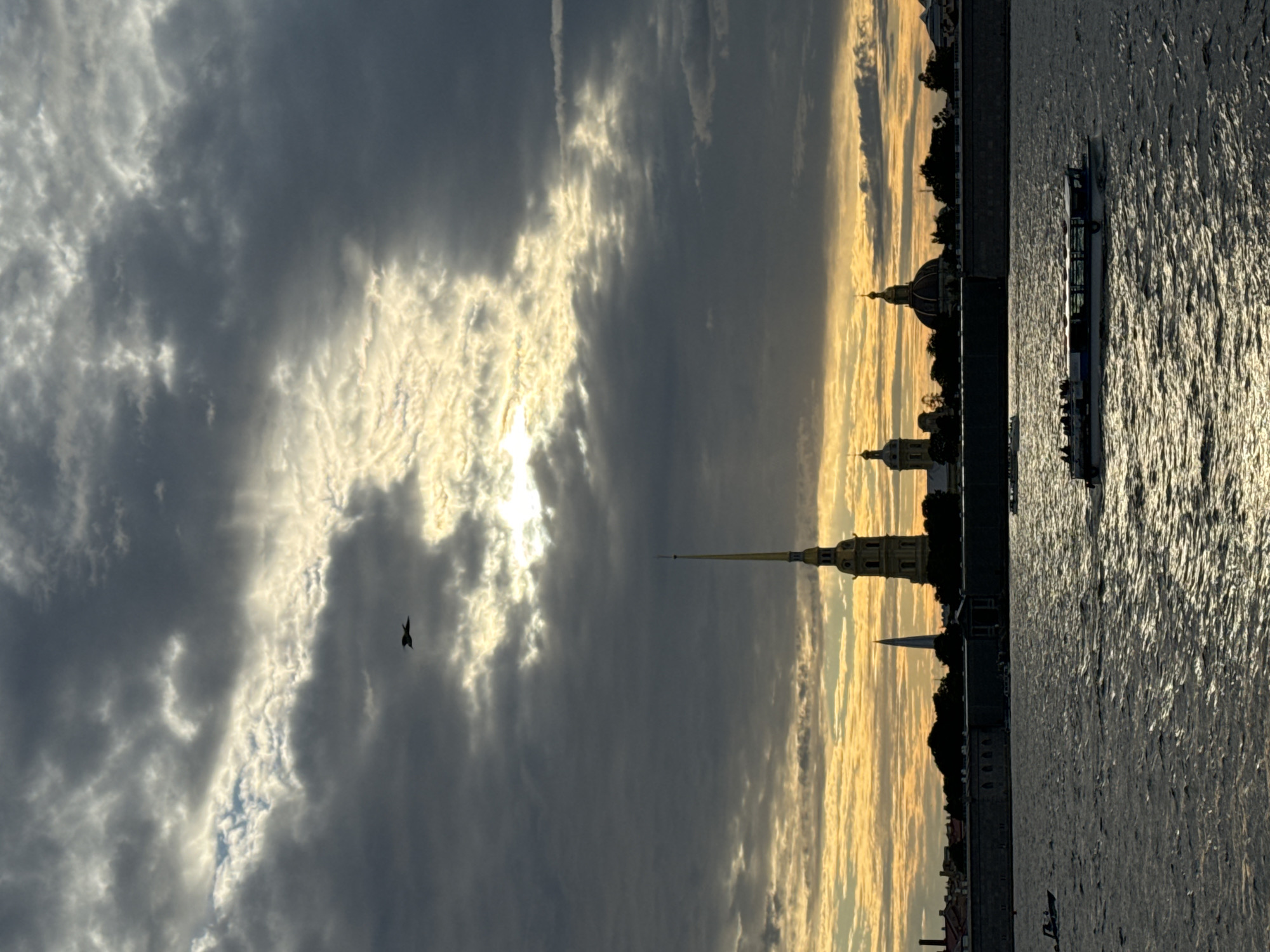 This is a vertical, medium-shot photograph of the Neva River in Saint Petersburg, Russia, during a dramatic sunset. The sky is filled with dark, heavy clouds, but a bright shaft of sunlight breaks through, illuminating the scene with a warm, golden glow. A lone bird is silhouetted against the bright patch of sky, flying towards the right.
In the middle ground, a cityscape is visible in silhouette against the sunset. The most prominent structure is the spire of the Peter and Paul Cathedral, a tall, slender, golden spire topped with a cross, rising above other domed buildings and trees. The wall of the Peter and Paul Fortress runs along the riverbank.
In the foreground, the Neva River is choppy, with sunlight glinting off the waves. A large, white tour boat filled with passengers is moving from left to right across the river. Smaller boats are also visible in the distance. The overall mood of the image is atmospheric and somewhat moody, due to the dramatic lighting and cloud cover.