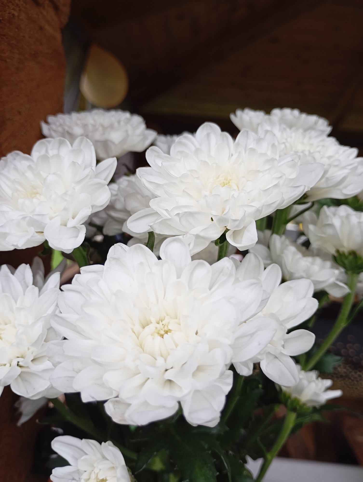 A close-up, eye-level shot shows a bouquet of white chrysanthemum flowers. The flowers are densely packed, with many layers of petals. The background is dark and out of focus, with hints of brown and wood grain. There are no people or animals visible in the image. The scene appears to be indoors, possibly on a shelf or table, given the presence of the wooden background. No specific location in the city of Malyi Bukor, Russia, can be determined from the image.