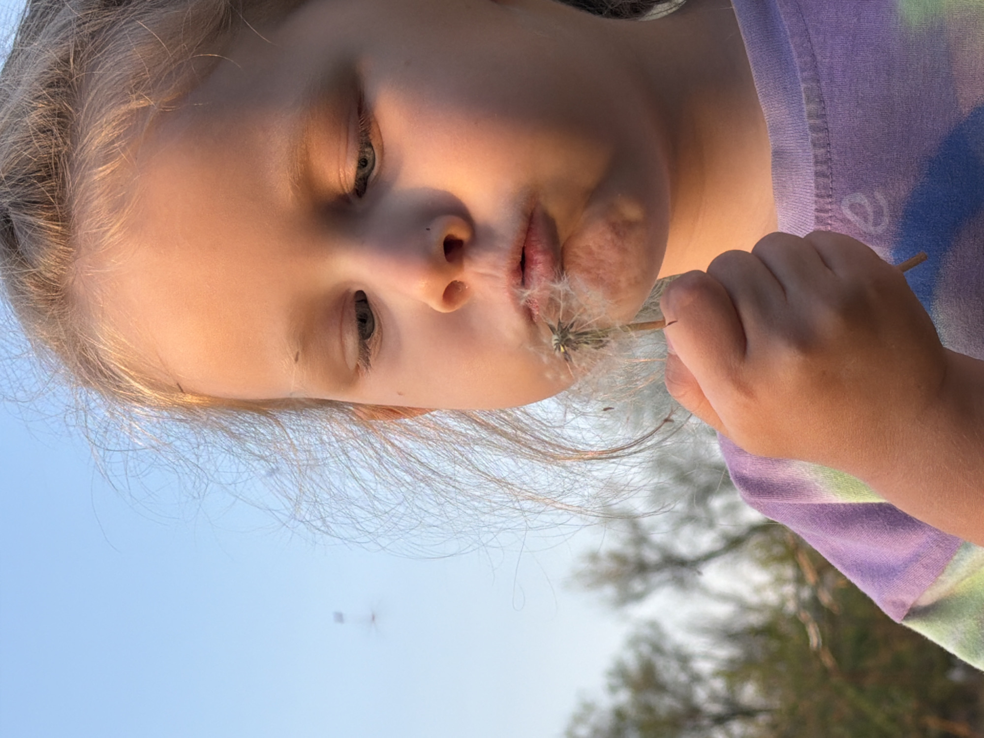 A young girl is blowing on a dandelion. She is holding the dandelion in her hand, and her lips are pursed as she blows. The background is a blue sky and some trees. It is difficult to determine the location of the image as it is not visible in the provided image.
