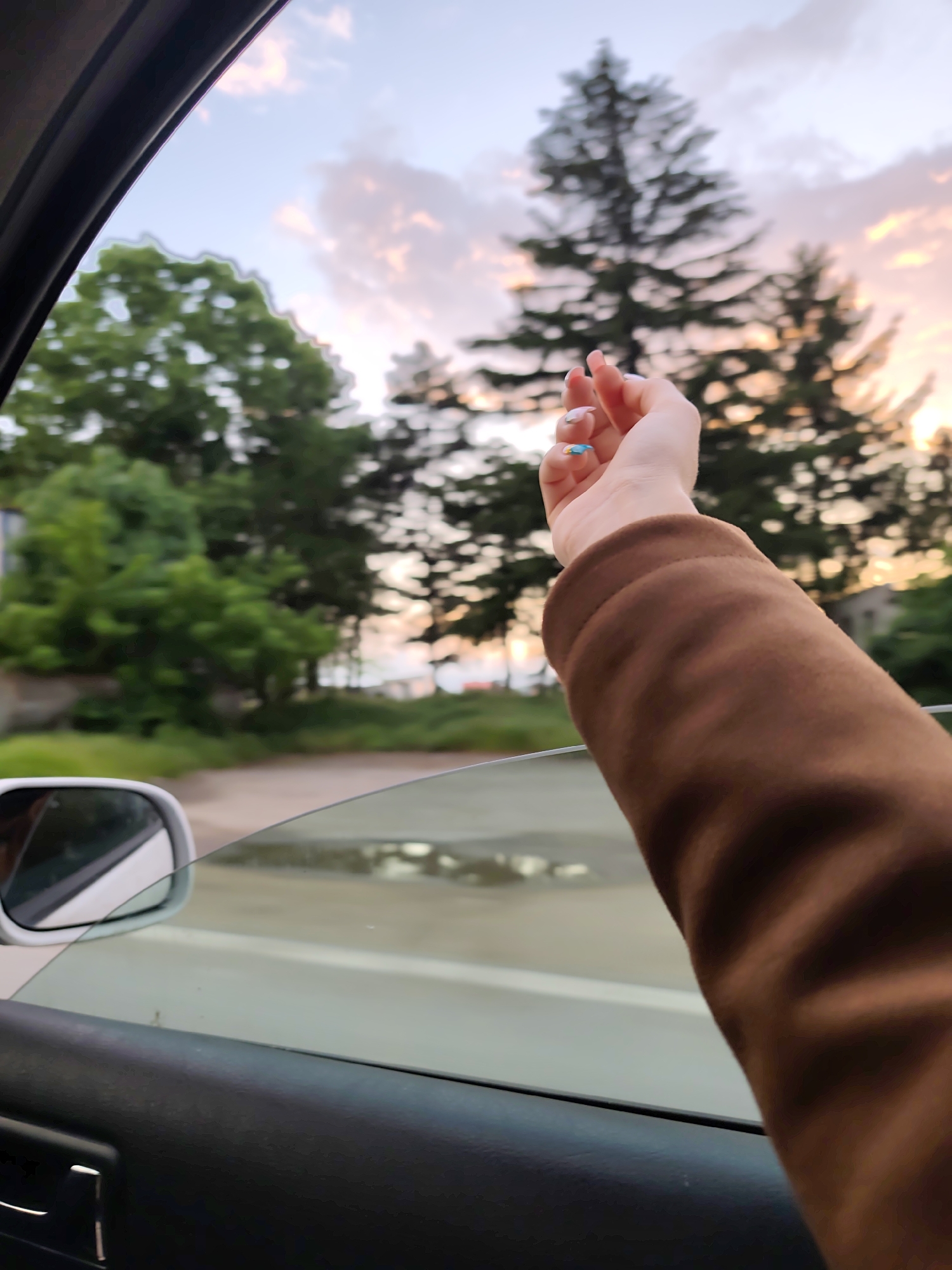 The image shows a person extending their arm out of a car window. The person is wearing a brown sweater. Their nails are painted with various designs. Outside the window, there are green trees. The sky has a mix of blue and pink colors, possibly indicating sunrise or sunset. A car side mirror is visible in the lower left. The exact location in the city of Dobrich, Bulgaria, cannot be identified from the given image.