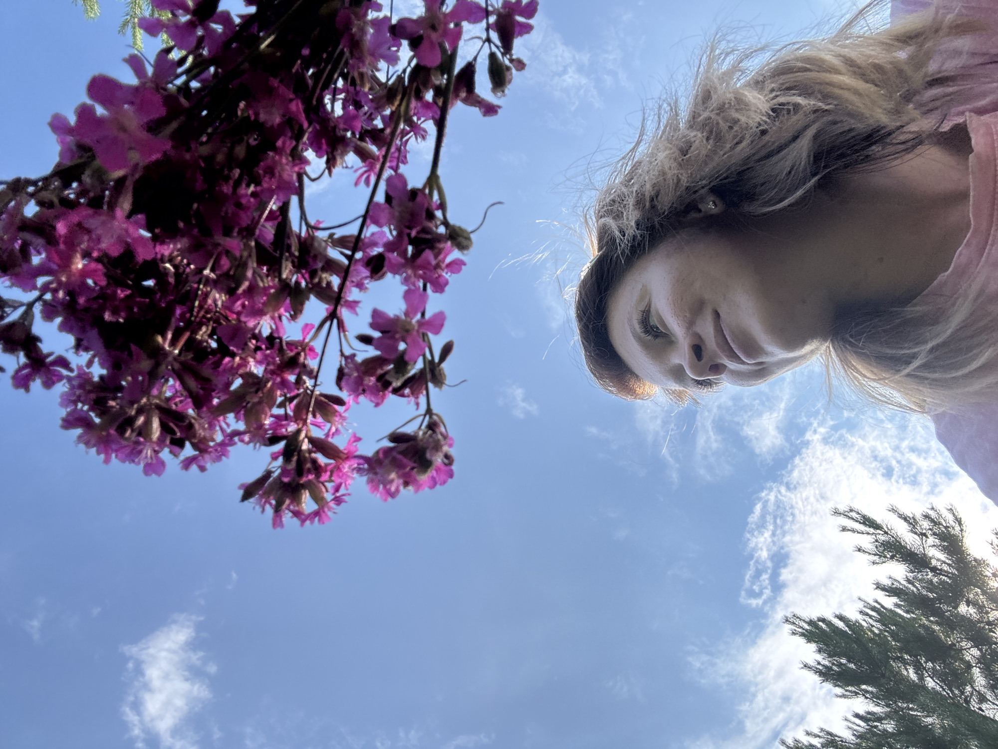 The image is an outdoor, low-angle shot of a woman looking up at a bunch of pink flowers against a blue sky with scattered white clouds. She has light brown, windblown hair, freckles, and is wearing a pink shirt. The flowers appear to be wildflowers. In the lower left corner, a dark green evergreen tree is visible. The sun is shining, creating a lens flare effect in the upper right portion of the image. The scene appears to be a natural outdoor setting, possibly a park or a garden. There is no visible indication of the specific location in the city of Чумна, Russia.