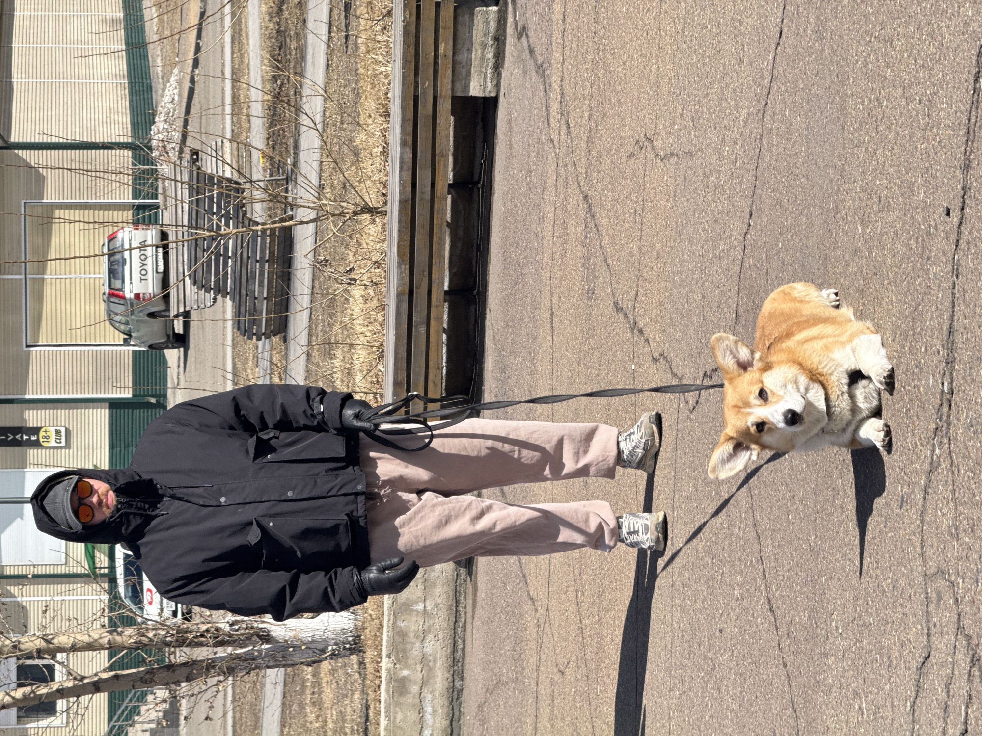 A person wearing a black jacket, pink pants, a gray cap, and orange sunglasses is walking a corgi on a leash on a paved surface. The dog is lying down. To the left is a wooden bench and a white Toyota car parked in front of a building with a sign that says "18+". The location is likely Borzya, Russia.