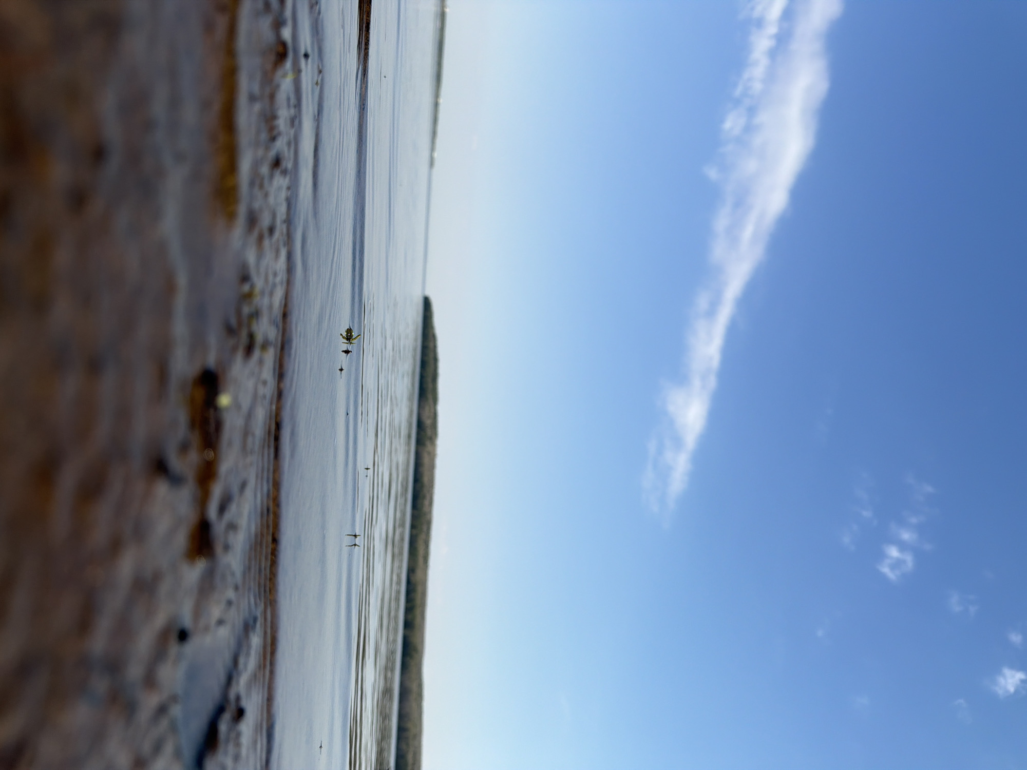 The image depicts a shoreline scene, with a muddy bank on the left and water extending towards the horizon. The sky is blue with a faint cloud formation. Based on the location of Chaikovsky, Russia, it's likely the shore of the Kama River. There are small objects appearing as dark spots or silhouettes in the water.