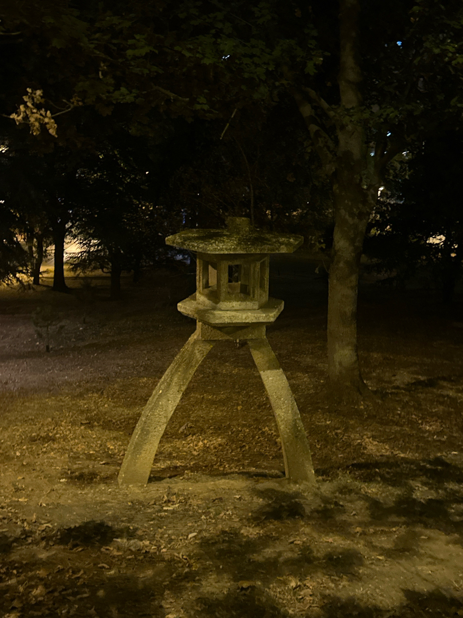 The image shows a stone lantern in a park at night. The lantern is a traditional Japanese design, with a pagoda-style roof and carved details. It stands on a base of two curved stone legs. The lantern is surrounded by trees and fallen leaves, and the ground is covered in dry grass. The lighting is dim, with shadows cast by the trees and the lantern. The scene appears to be serene and peaceful. This stone lantern is located in the Studentski park in Belgrade, Serbia.