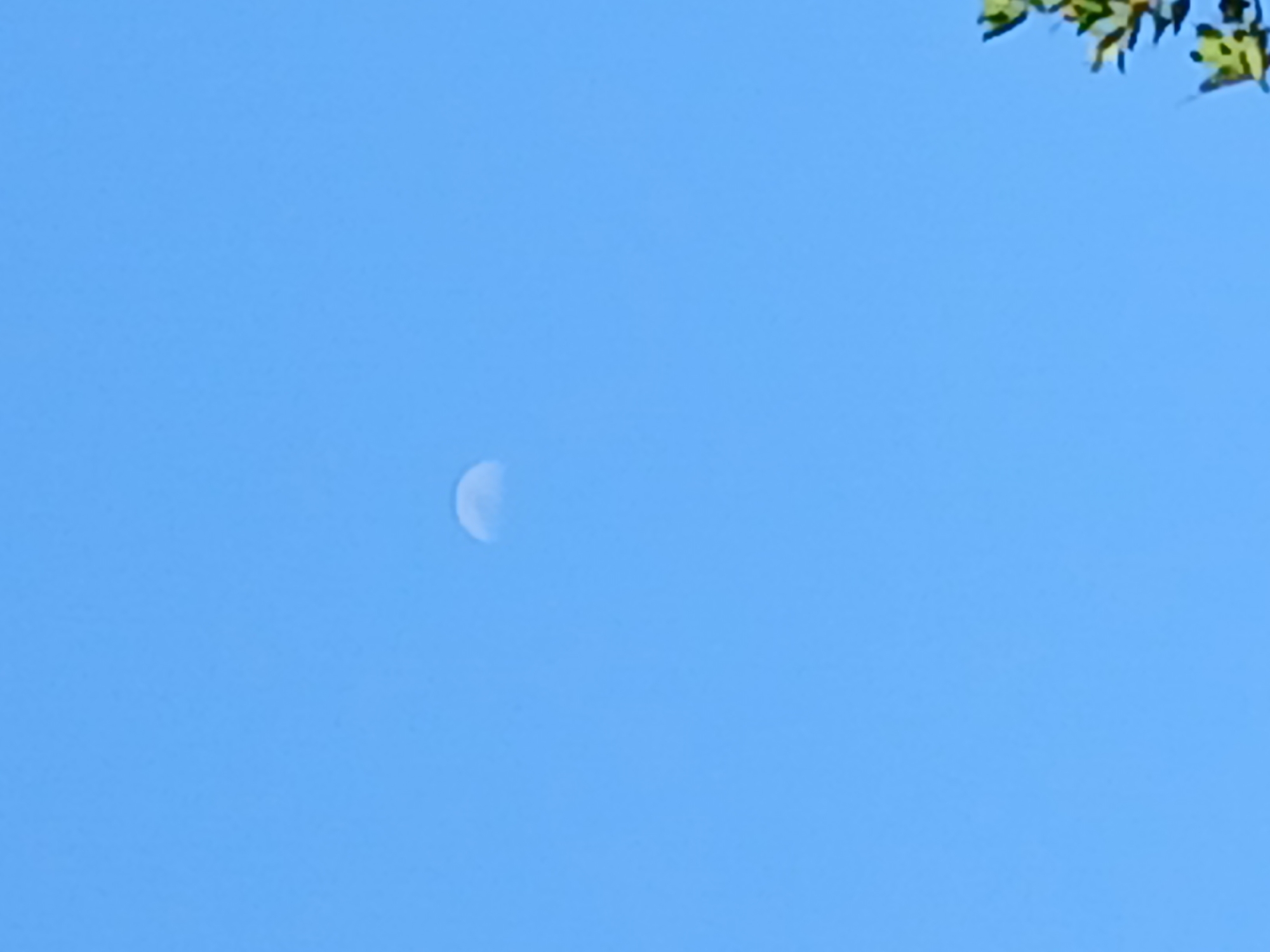 The image is a daytime photograph of the sky with the moon visible. The moon is partially illuminated, appearing as a crescent or gibbous shape, and is positioned in the upper center of the frame. The sky is a clear, vibrant blue. In the bottom right corner, a small portion of green foliage is visible, suggesting the presence of trees or plants. The location is identified as Pejaten, Indonesia. The photograph appears to be taken from ground level, looking upwards. There are no people or discernible man-made structures in the frame besides the implied presence of the observer.