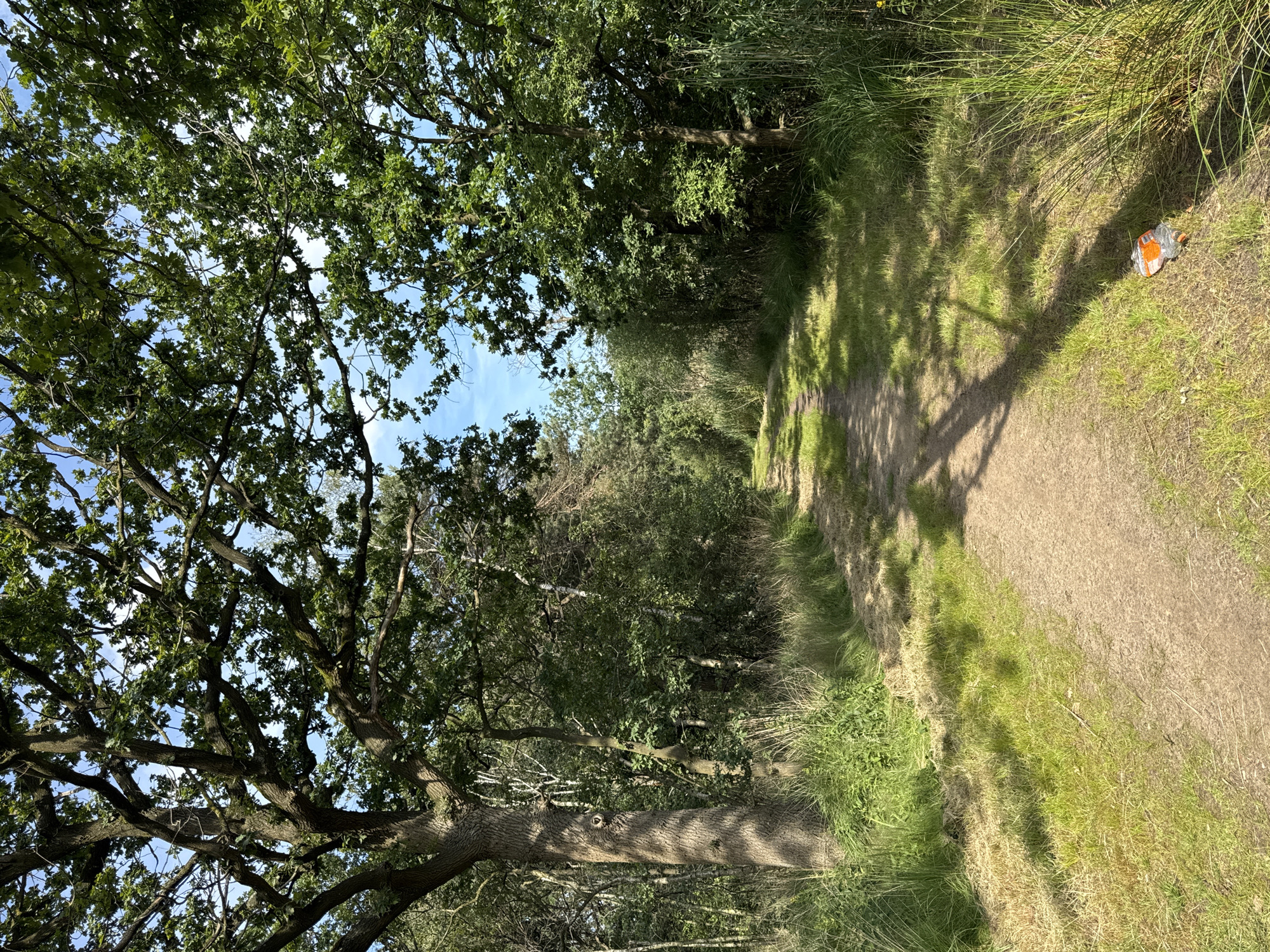 This image shows a sun-dappled dirt path winding through a lush, green wooded area. Tall trees with dense foliage, including large oak trees with gnarled branches, flank the path, casting shadows across the ground. The path is surrounded by tall grasses and undergrowth, suggesting a natural, untamed environment. The sky above is a clear blue with a few scattered clouds. In the lower right portion of the image, near the edge of the path, is a discarded orange and silver colored object, possibly a piece of packaging or a wrapper. The scene appears to be a walking or cycling trail in a park or forest on a bright, sunny day. The location is identified as Turnhout, Belgium.