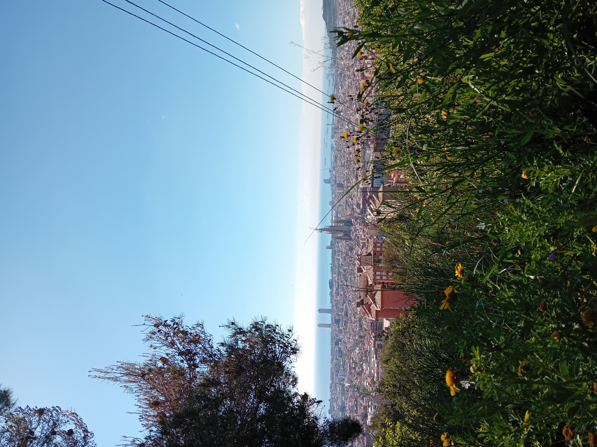 The image depicts a high-angle, slightly askew view of Barcelona, Spain, looking towards the Mediterranean Sea. The clear blue sky occupies the upper left portion of the frame. In the middle ground, the city stretches out, with visible building rooftops and streets. The Mediterranean Sea forms the horizon line, appearing slightly hazy. The foreground is dominated by vegetation, including bushes, trees, and yellow flowers, with power lines visible in the sky. The perspective suggests the photo was taken from a high vantage point, likely Montjuïc Hill.