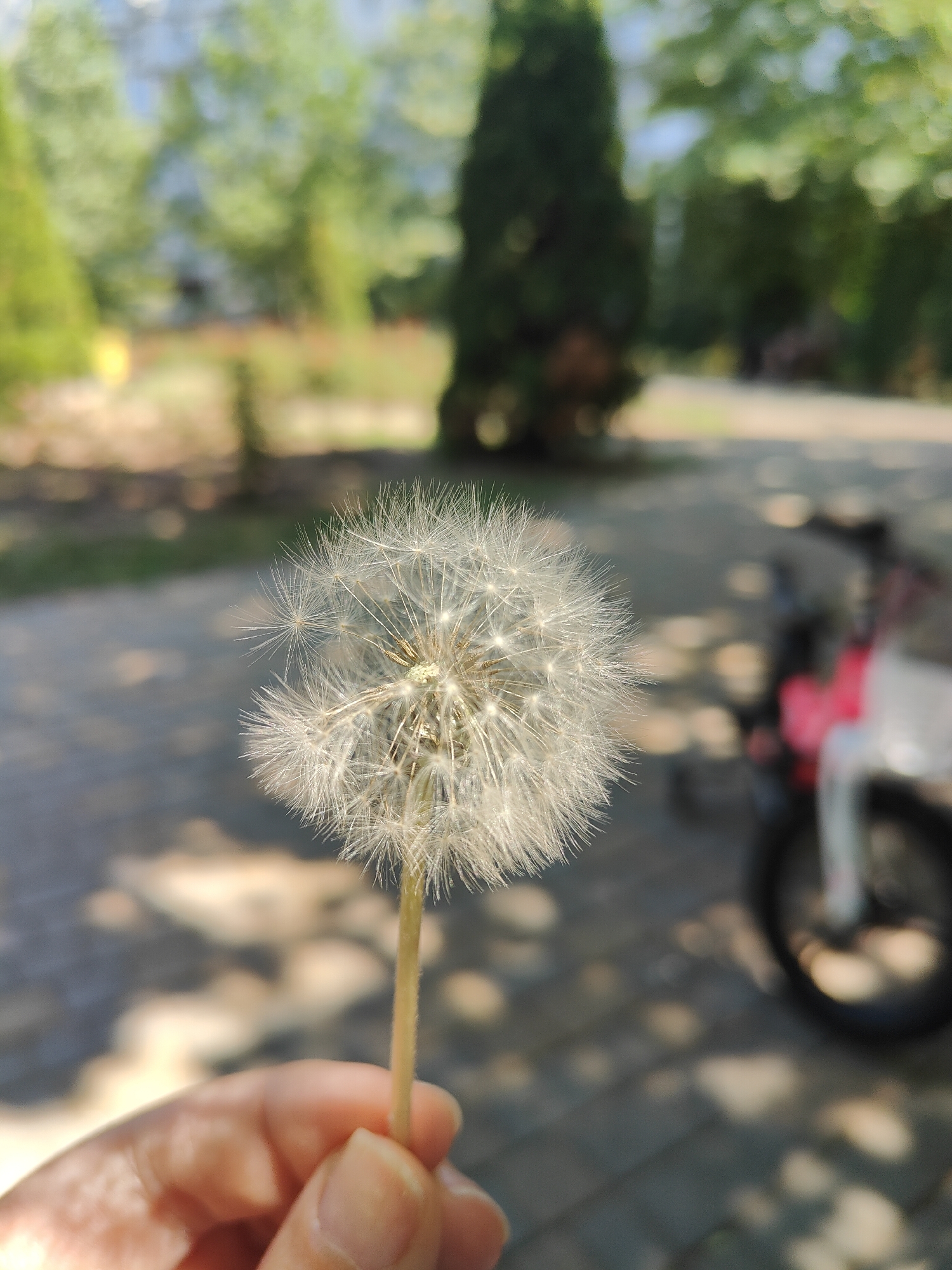 Memory