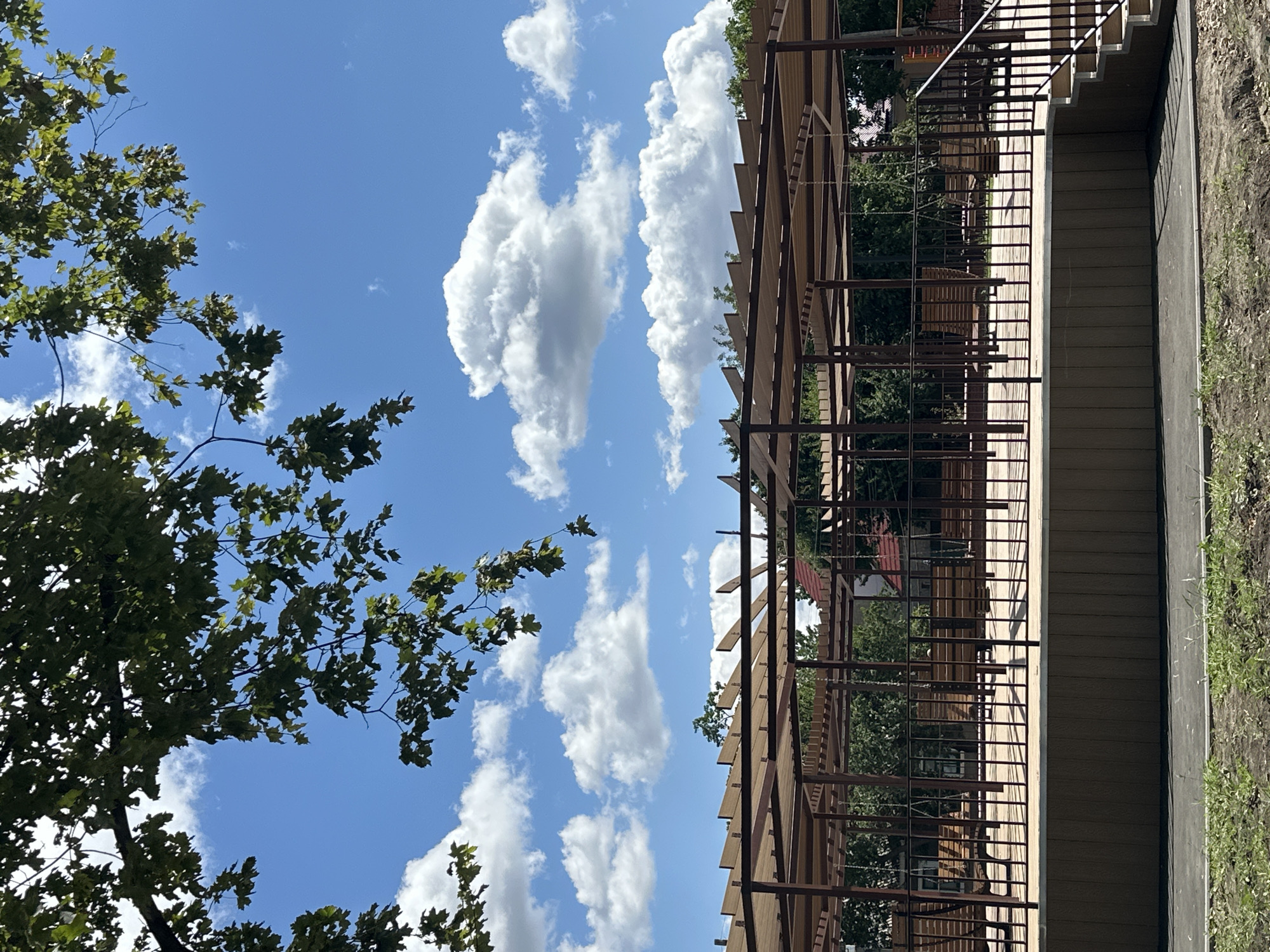 The image depicts an outdoor recreational area with a modern wooden and metal canopy structure. The canopy has a slatted roof supported by vertical pillars. Beneath the canopy, there are rows of wooden benches and swings, suggesting a place for relaxation and play. A dark metal fence encloses the raised platform where the benches and swings are located. To the right of the platform, a staircase with a metal railing leads down. In the background, trees and a red-roofed building are visible. The scene is set against a bright blue sky with scattered white cumulus clouds. Overhead, the branches and green leaves of a large tree partially obscure the sky. The area appears to be a public park or community space.
