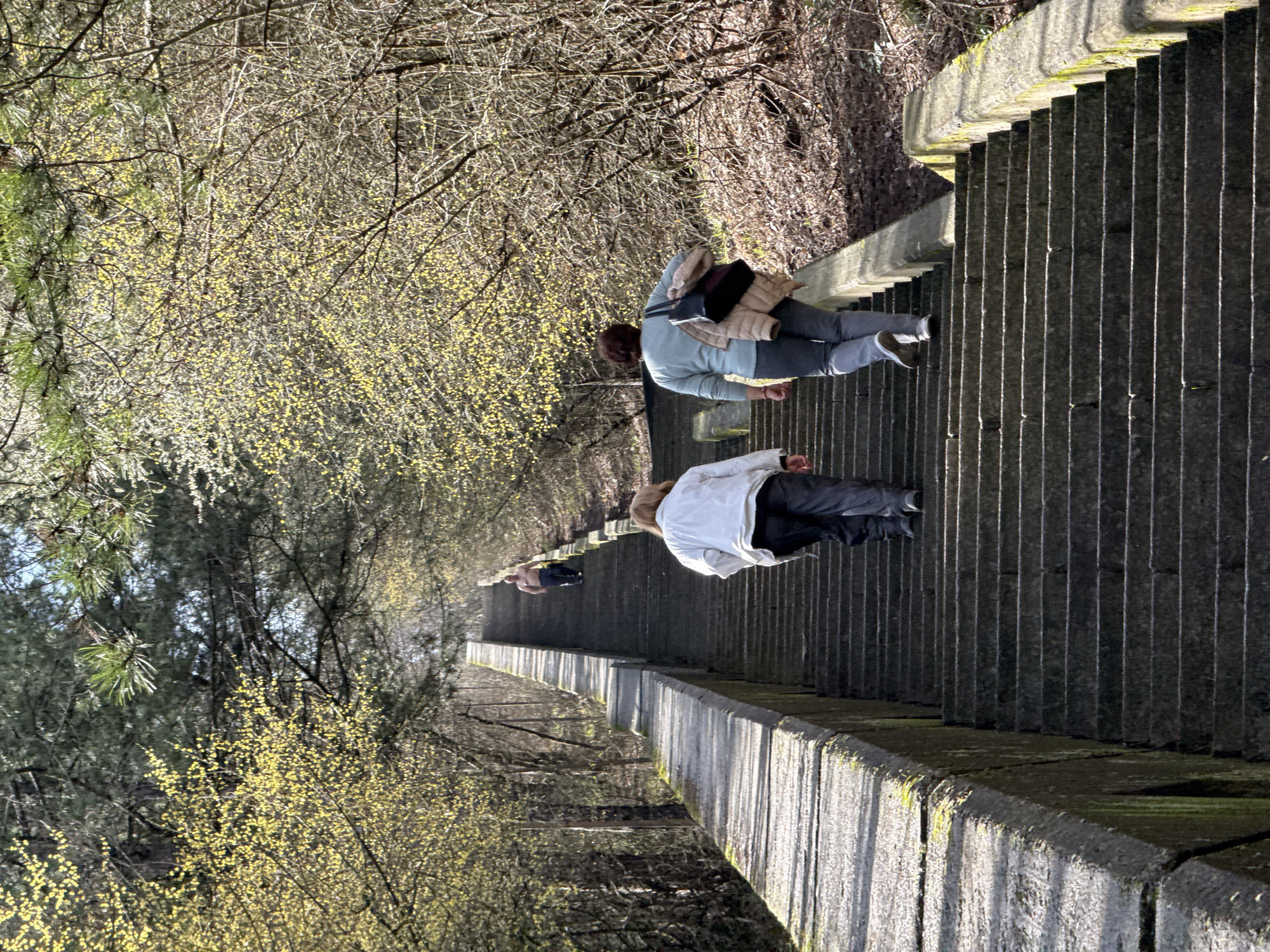 The image depicts a long, descending stone staircase in what appears to be a park or forested area. Three people are walking down the stairs. The first person is wearing a white jacket and dark pants, while the second is wearing a light blue top, grey pants, and a beige jacket slung over their shoulder. The third person is further down the staircase and less clearly defined. The staircase has a concrete railing on one side. Trees with sparse yellow blossoms are visible on the left side of the staircase, and a dense wooded area is on the right. Moss is growing on the concrete. Based on context clues, the location is likely Shumen, Bulgaria.