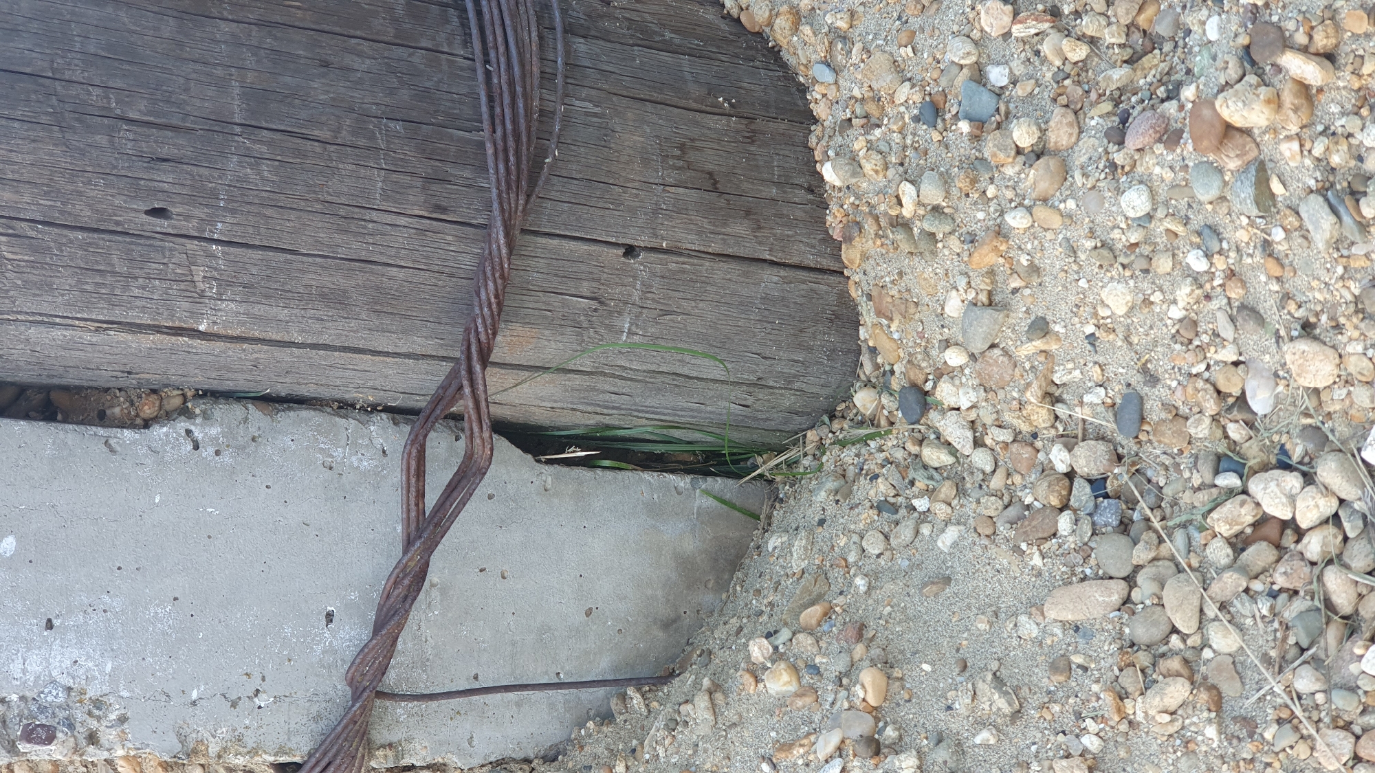 This is a close-up, outdoor, eye-level photograph focusing on the base of a weathered wooden post and a section of concrete structure, surrounded by sandy soil and small pebbles. The wooden post, which appears to be a utility pole, has a rough, textured surface with prominent vertical grain and some dark markings, possibly insect holes or knots. A bundle of rusty, twisted metal wires is wrapped around the post and extends towards the concrete. The concrete structure is a rough, unpainted surface with some visible aggregate and a crack running vertically. Between the wooden post and the concrete, a narrow gap allows a glimpse of green grass growing. The ground is covered with a mixture of sand and various sized, rounded pebbles in shades of gray, brown, and white. The lighting suggests it is daytime with no strong shadows, indicating possibly overcast conditions or indirect sunlight. The scene is devoid of any human presence or activity.