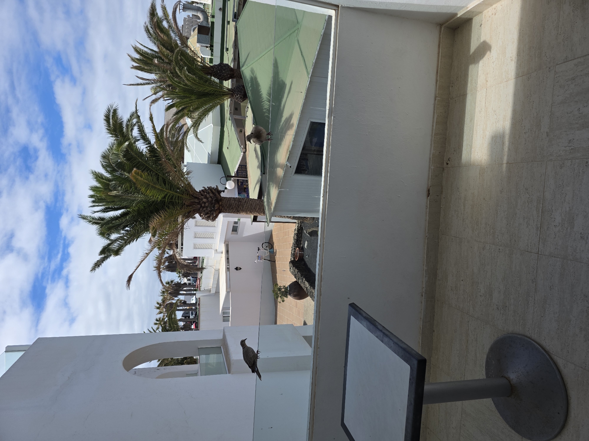 The image shows a balcony overlooking a street scene with palm trees, buildings, and a cloudy blue sky. The perspective is from a balcony, with a white railing in the foreground and a table with a metal base. In the background, there are several palm trees, white buildings with windows and shutters, and what appears to be a street with parked cars. Two birds are visible in the scene, one perched on the balcony railing and another on a rooftop. The overall setting suggests a sunny day in a warm climate, likely a tourist destination. The architecture of the buildings, with their white walls and arches, along with the presence of palm trees, points to a Mediterranean or similar coastal location. The shadows cast on the balcony floor indicate it is daytime, likely afternoon. No text is visible in the image.
