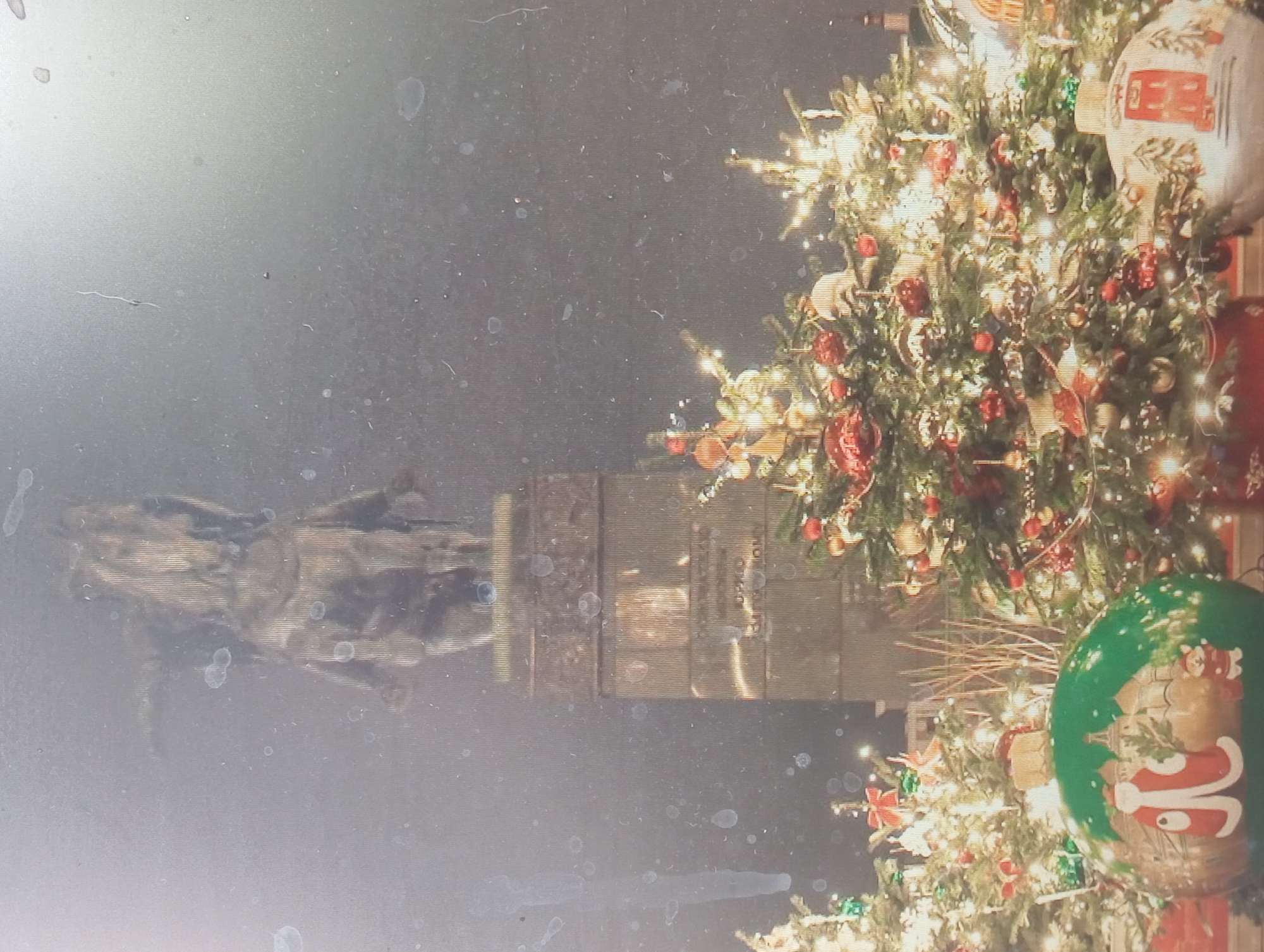 The image shows a scene involving a Christmas tree and possibly other decorations. The tree is adorned with ornaments and lights. The setting appears to be indoors, though the background is indistinct. The exact location within Karaganda, Kazakhstan cannot be determined from the image alone.