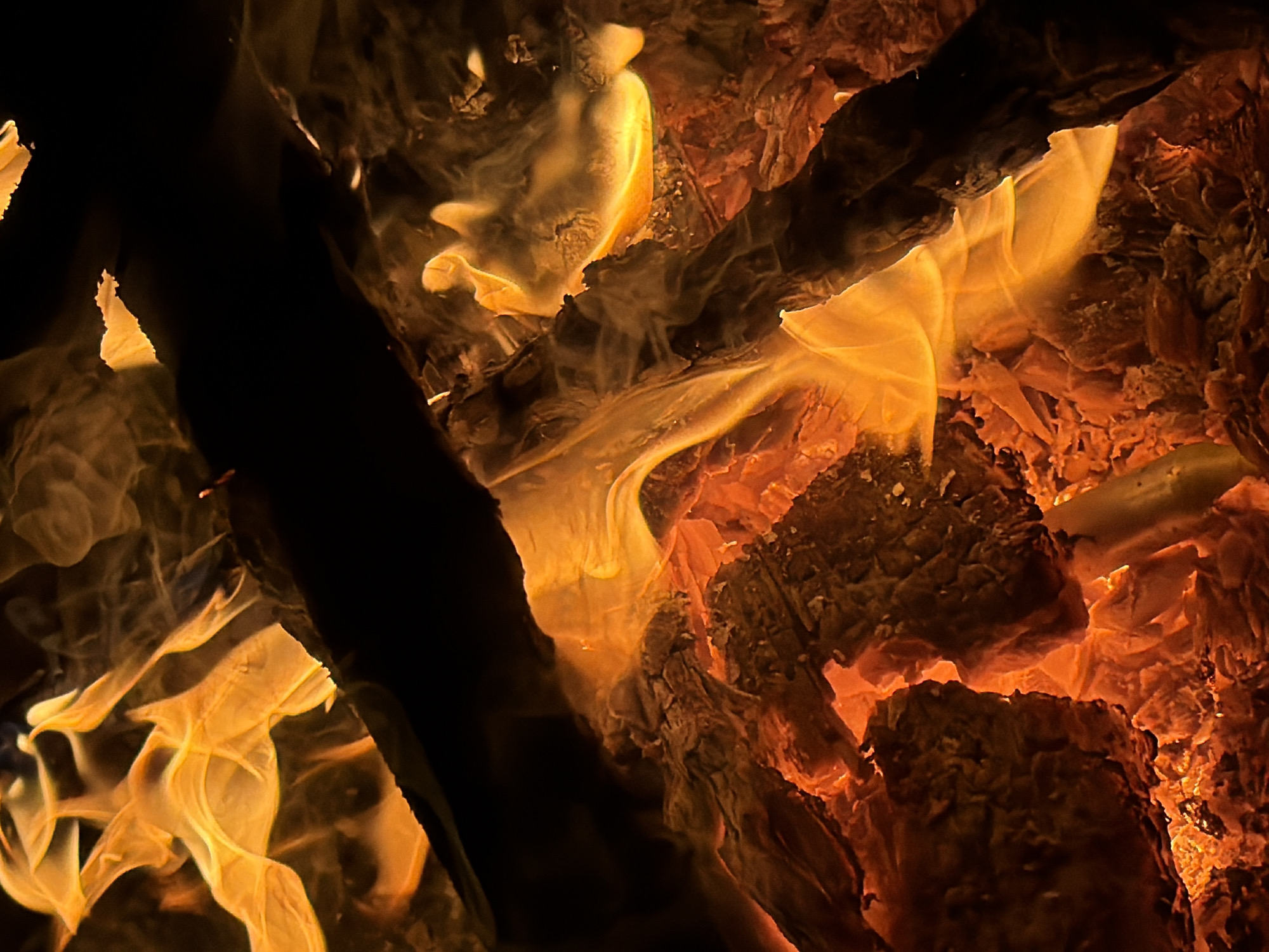 The image displays a close-up, dynamic view of a burning fire. The scene is dominated by active flames and glowing embers originating from charred wooden logs. The flames exhibit vivid hues of yellow, orange, and red, with some appearing translucent and wispy as they rise. Several pieces of wood, ranging from partially consumed logs to smaller fragments, are visible, showcasing rough, textured, and blackened surfaces indicative of combustion. Deep shadows are cast by larger unburnt sections of wood, creating strong contrast against the bright, incandescent areas. No individuals, identifiable structures, or specific environmental features beyond the immediate fire are present. There are no discernible actions or interactions within the frame. The location in the city of Kechur, Russia, is not discernible from the visual information provided in the image.